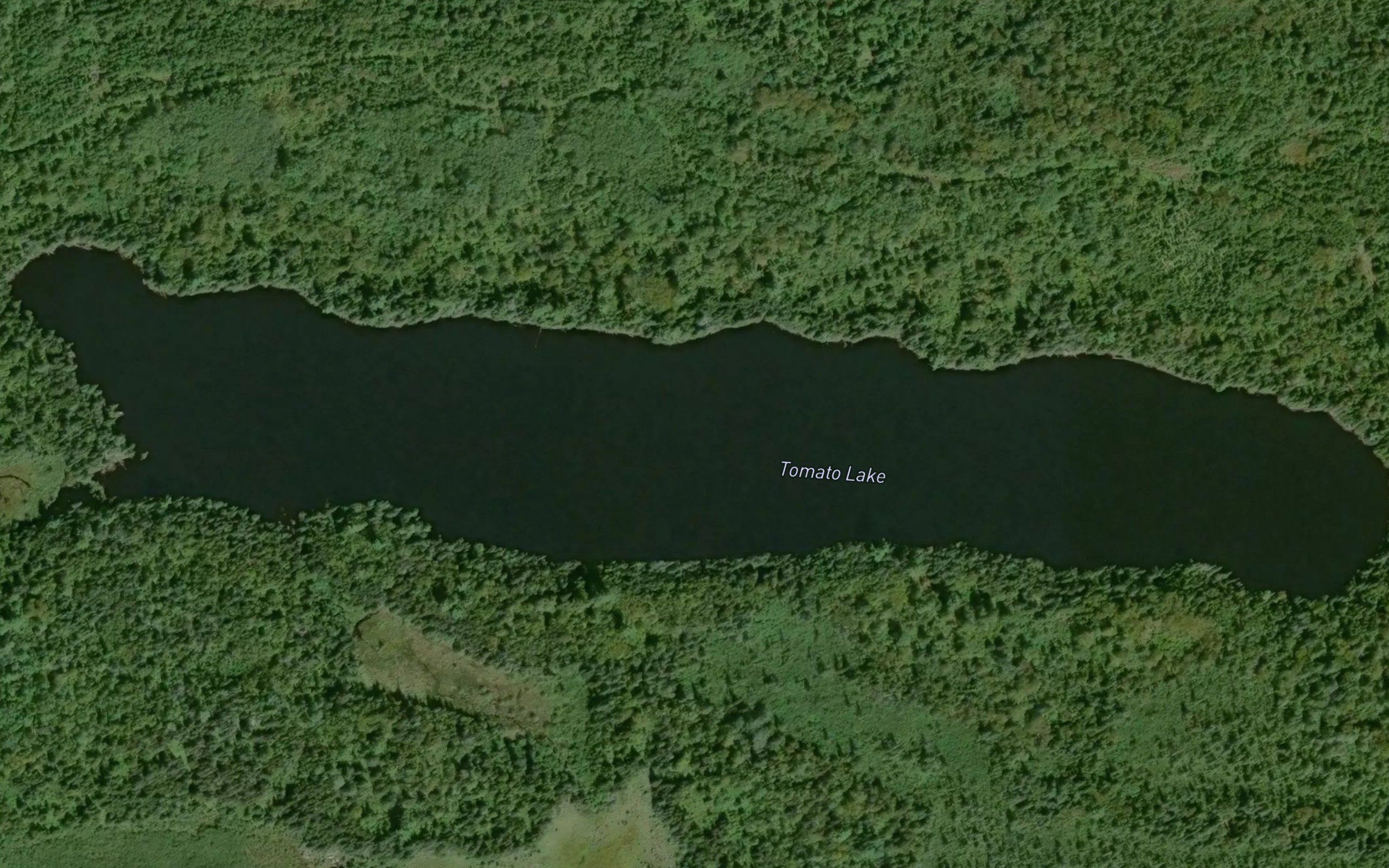 Tomato Lake