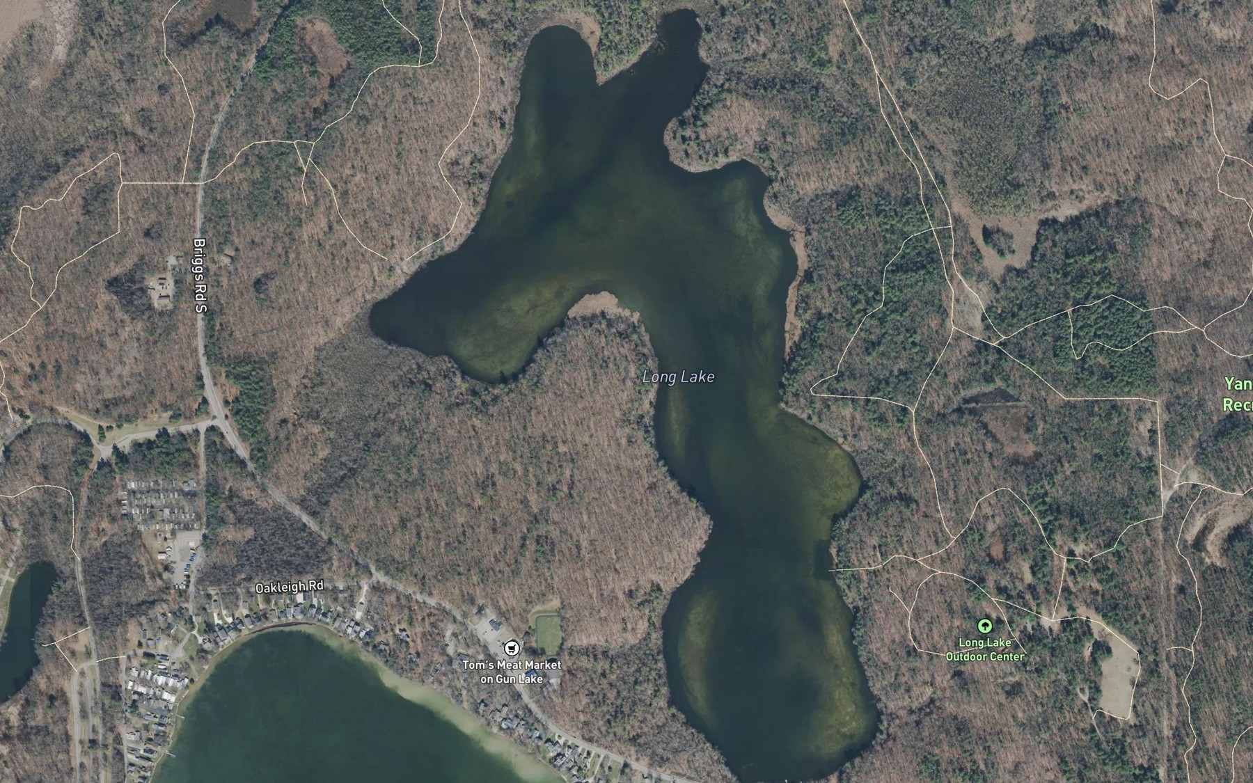 Satellite map of the Long Lake
