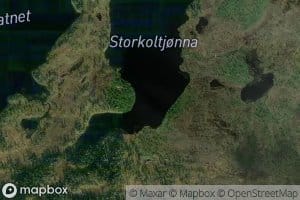 Storkoltjonna