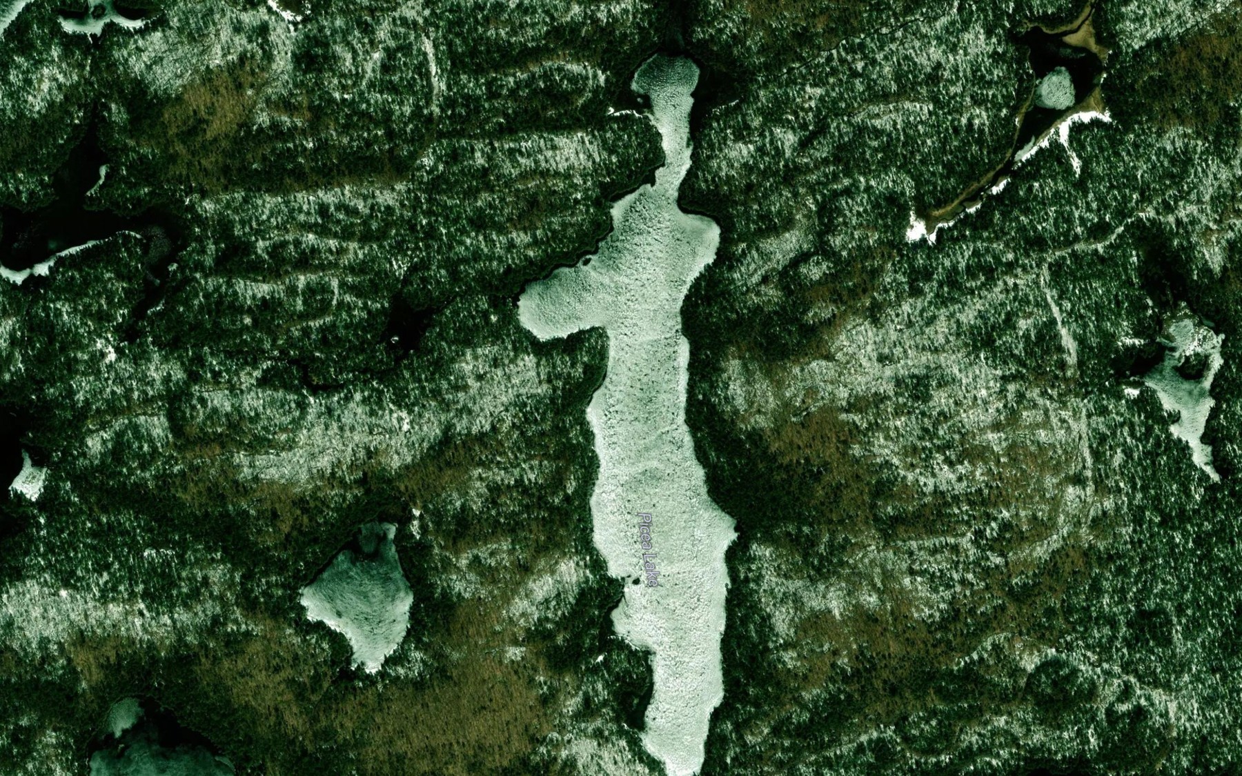 Satellite map of the Picea Lake