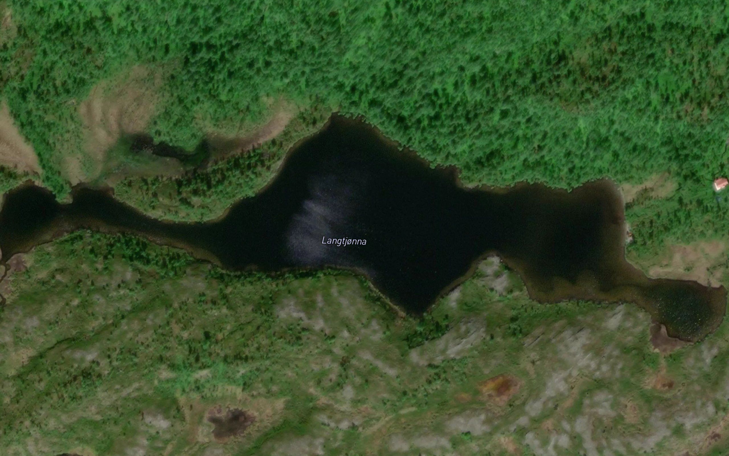 Langtjorna