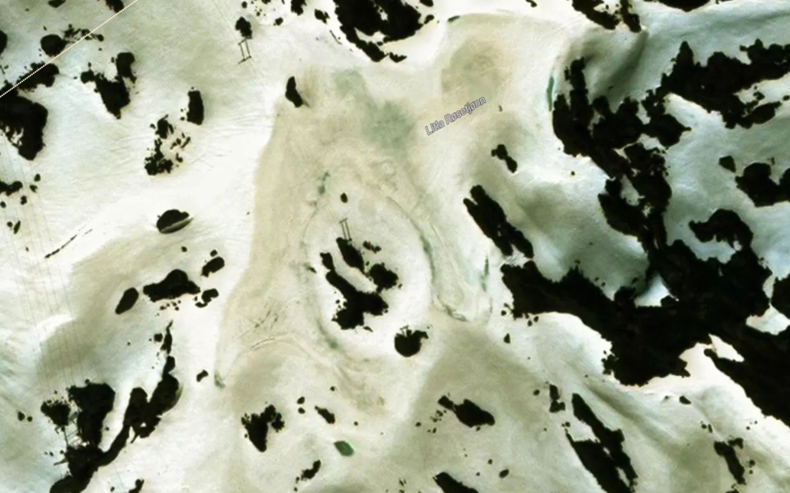 Rosetjorn,litla