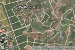 Wollongje