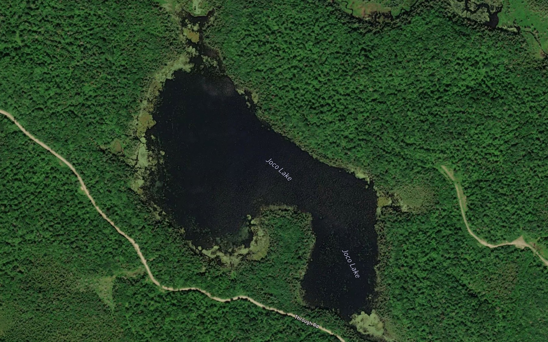 Satellite map of the Joco Lake