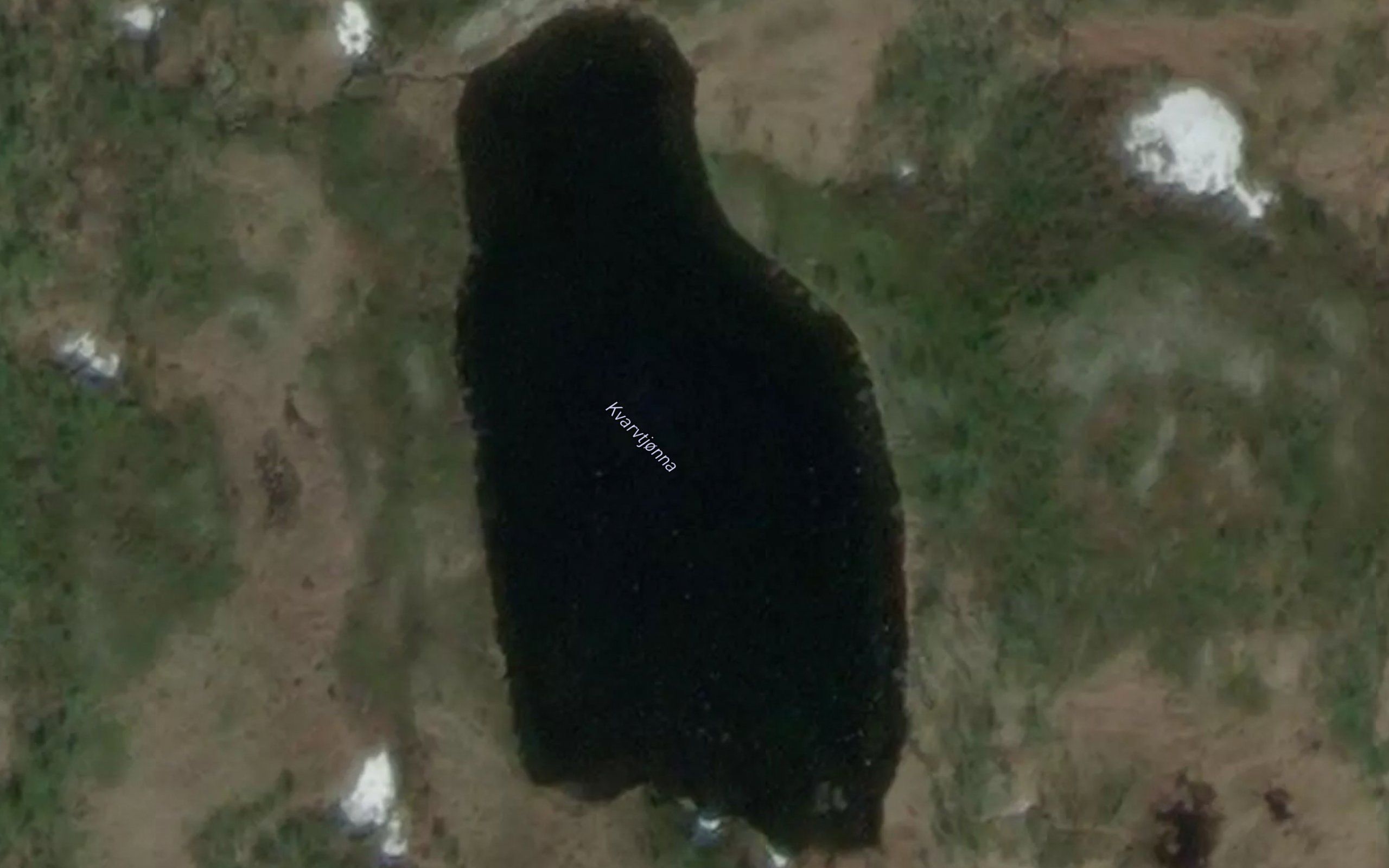 Kvarvtjorna
