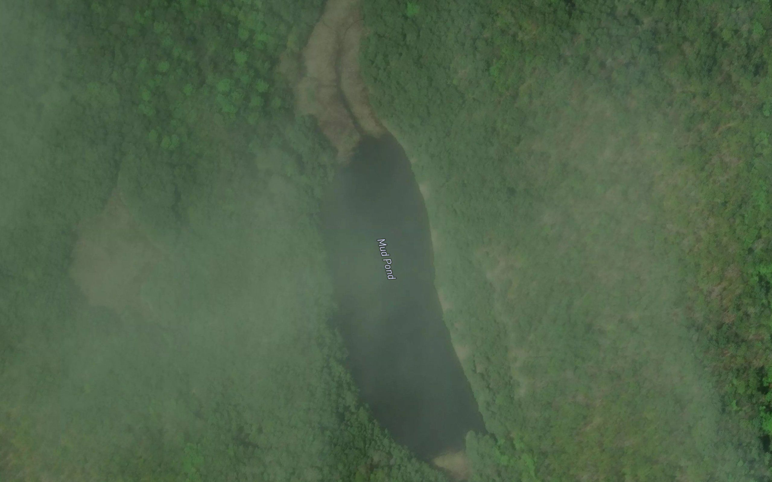 Mud Pond