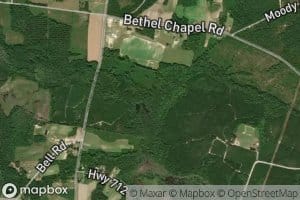 Little Mill Branch