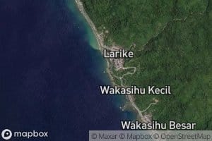 Wai Larike