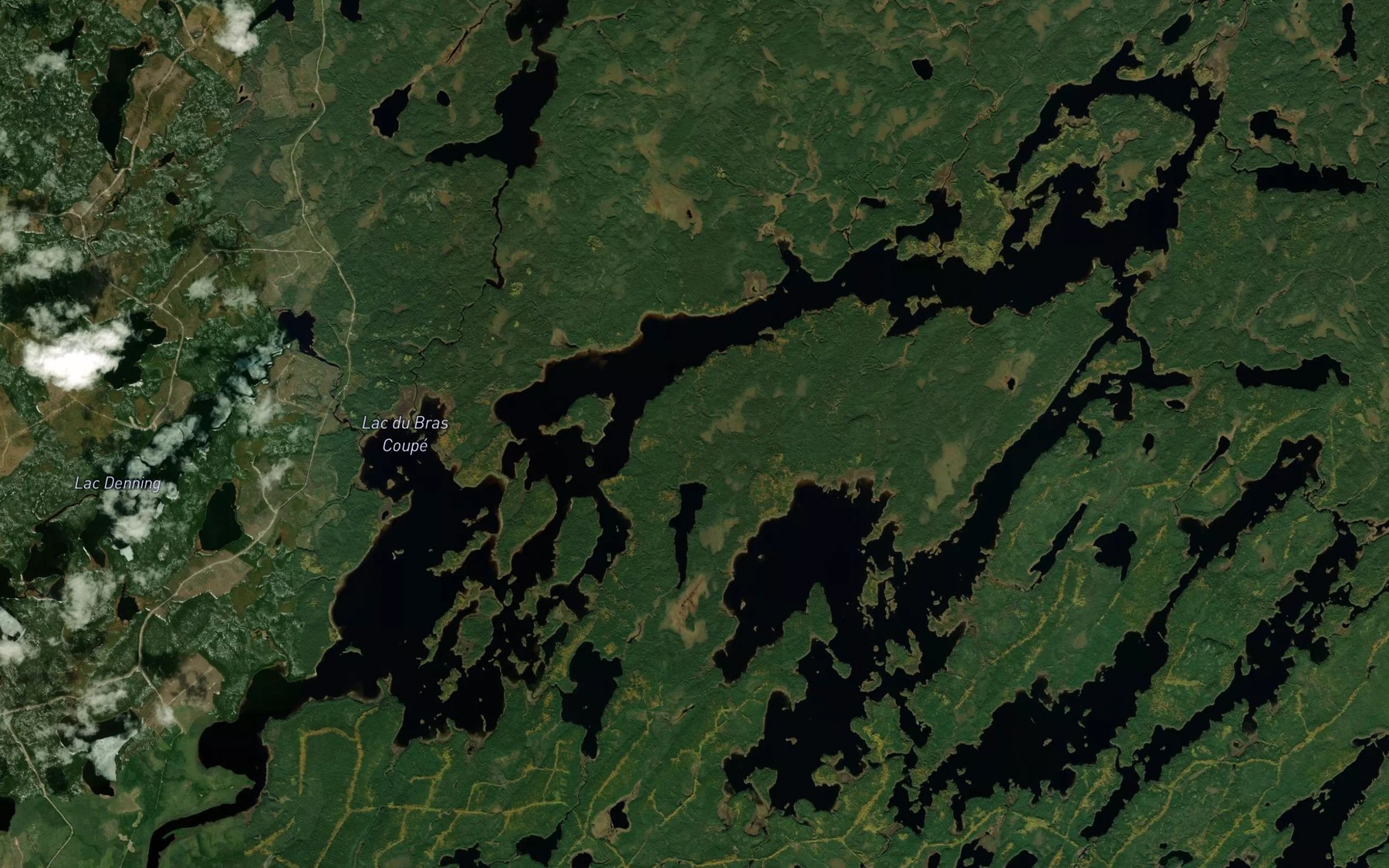 Satellite map of the Lac du Bras Coupe
