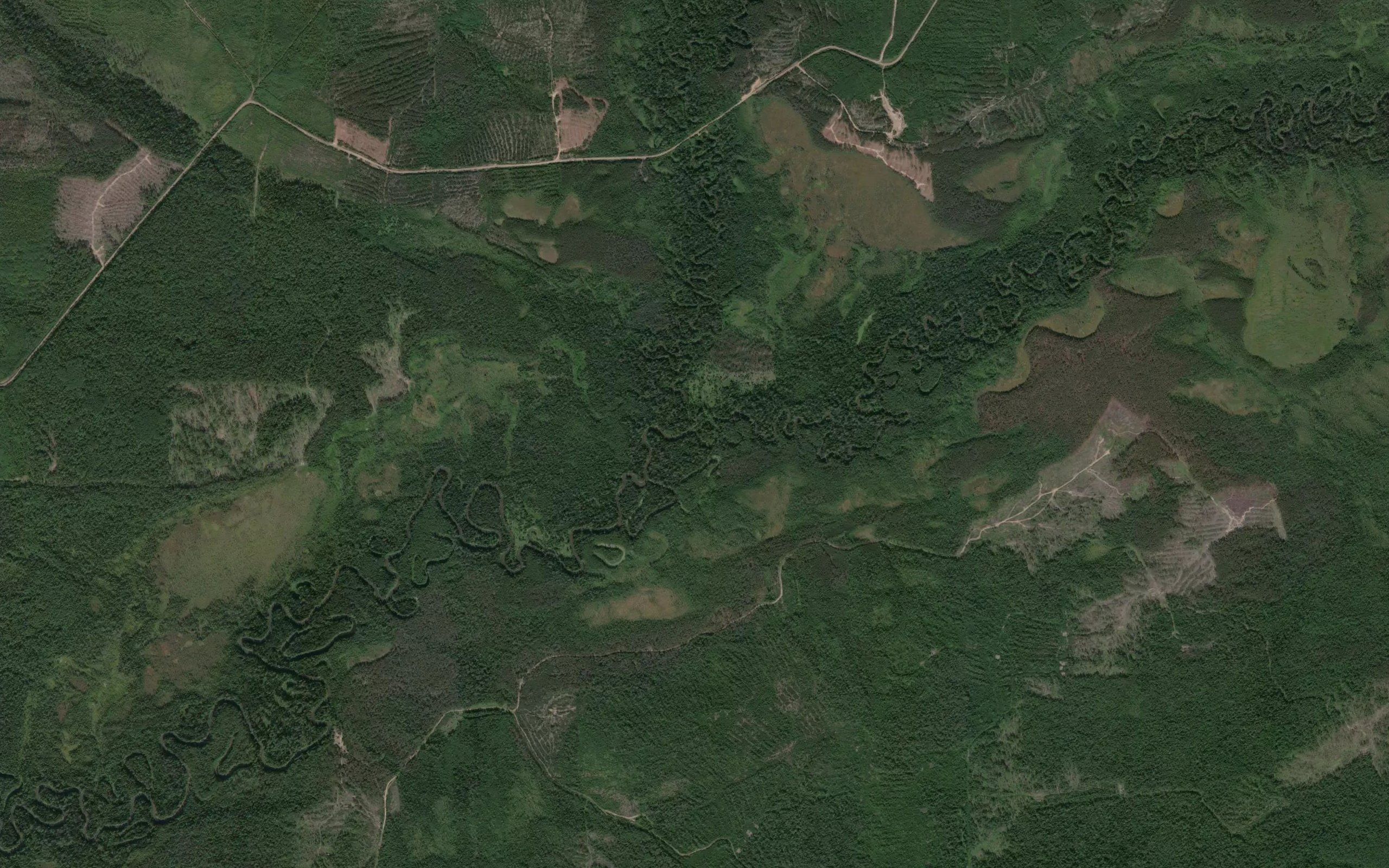Brodovaya