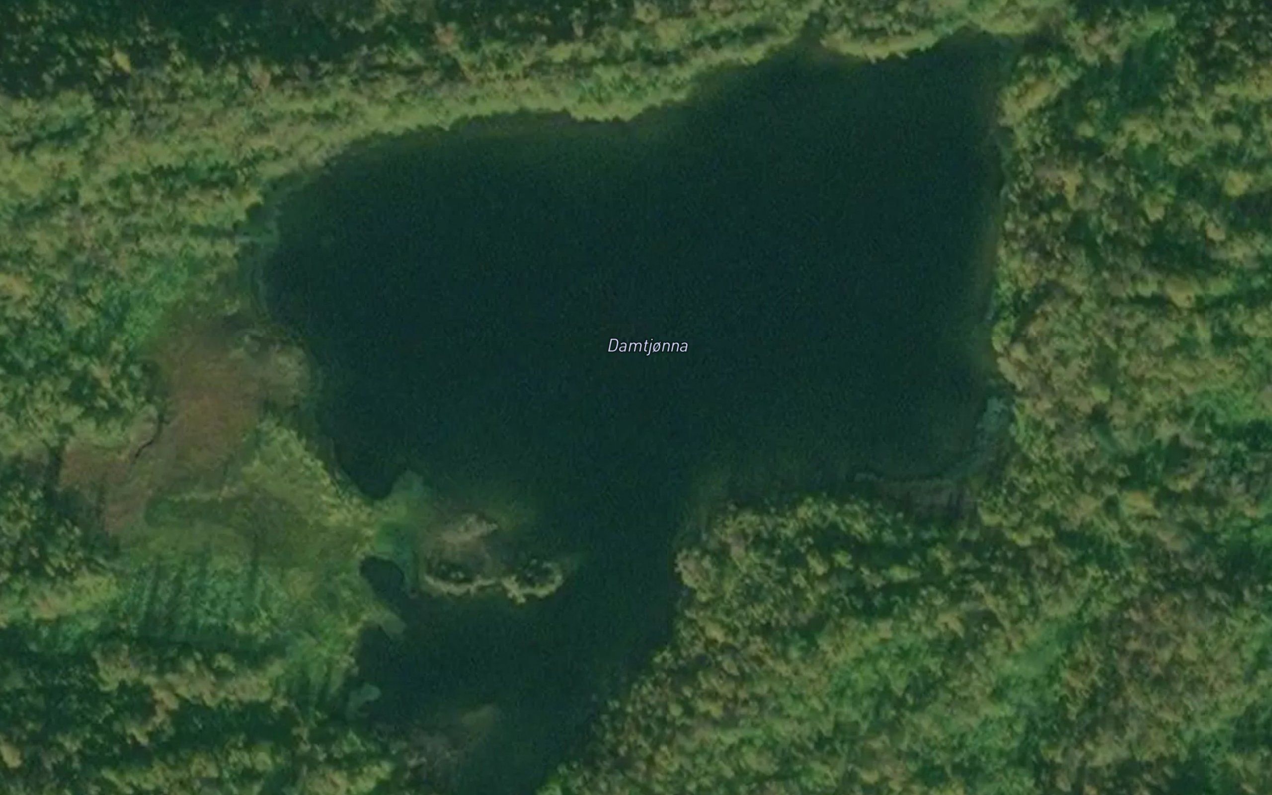 Damtjorna
