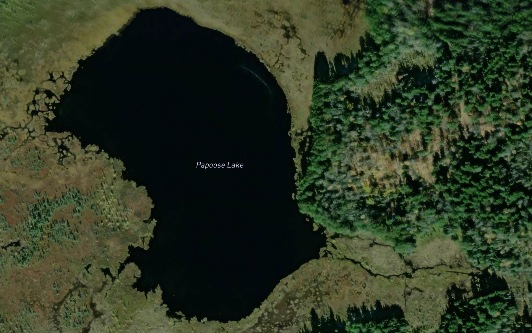 Satellite map of the Papoose Lake