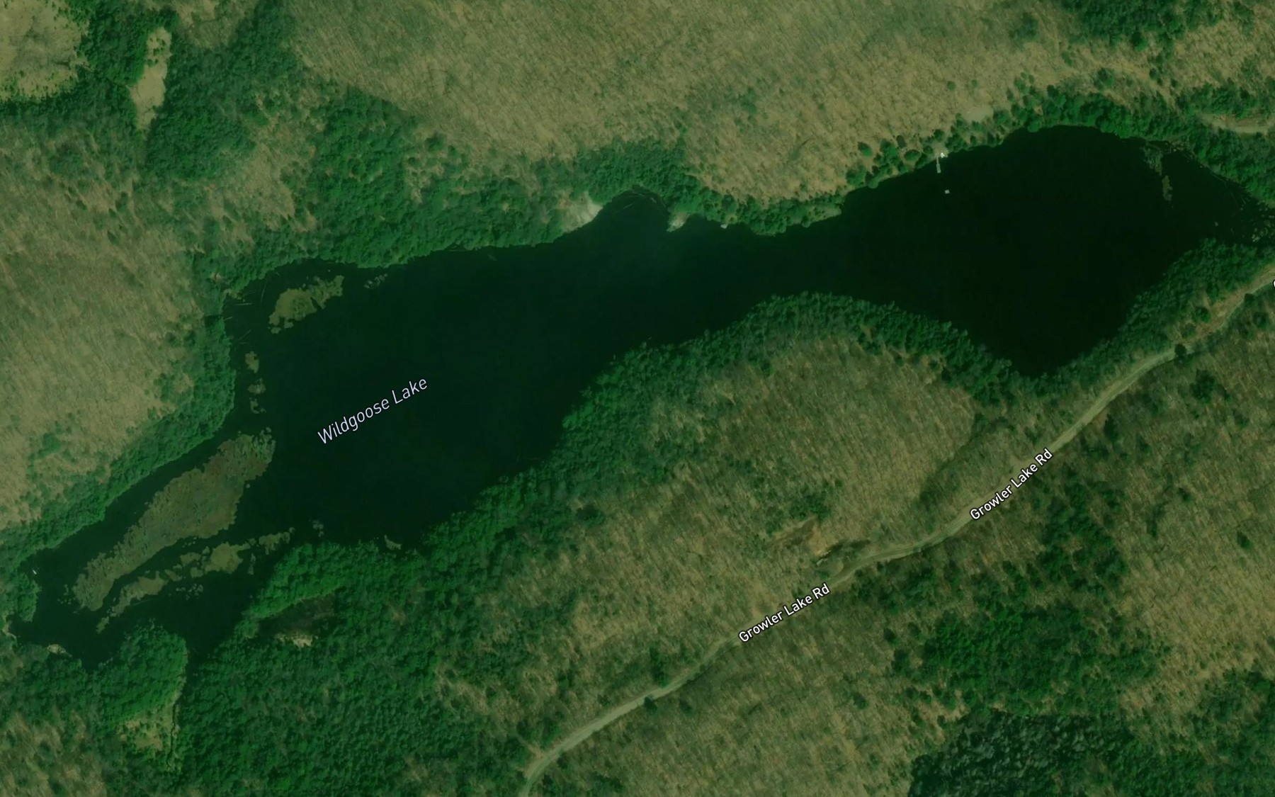 Satellite map of the Wildgoose Lake