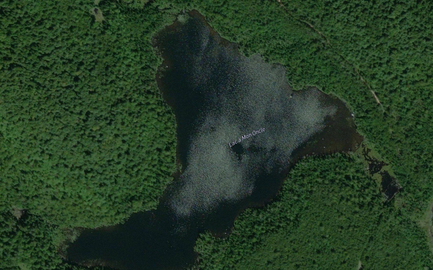 Satellite map of the Lac a Mon Oncle