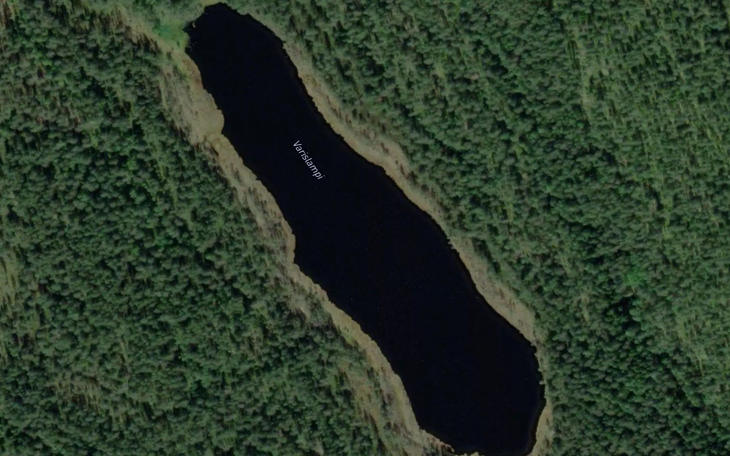 Varislampi