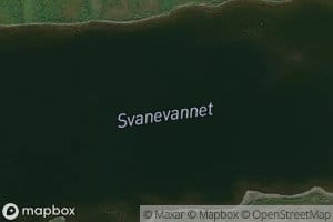 Svanevannet