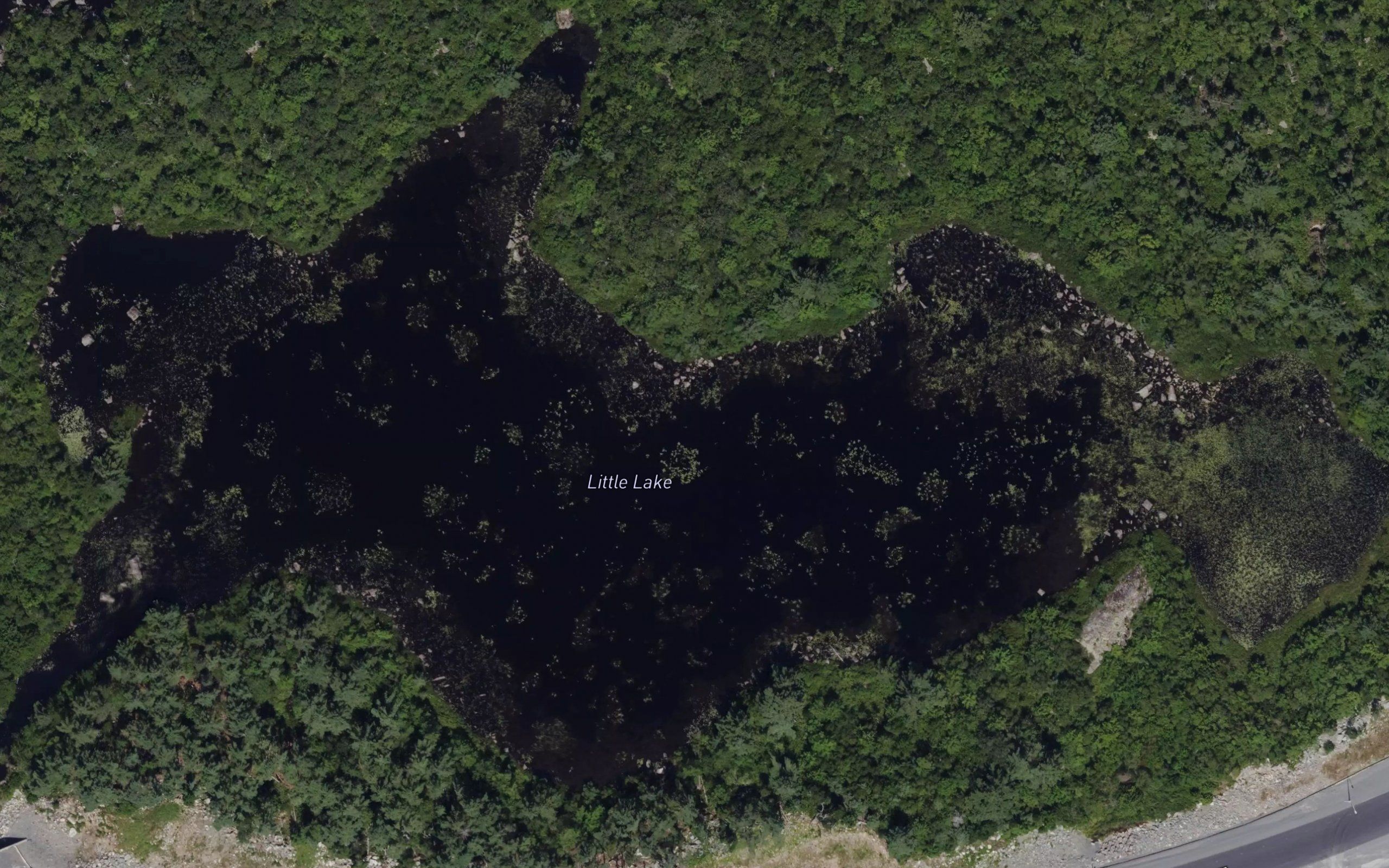 Little Lake