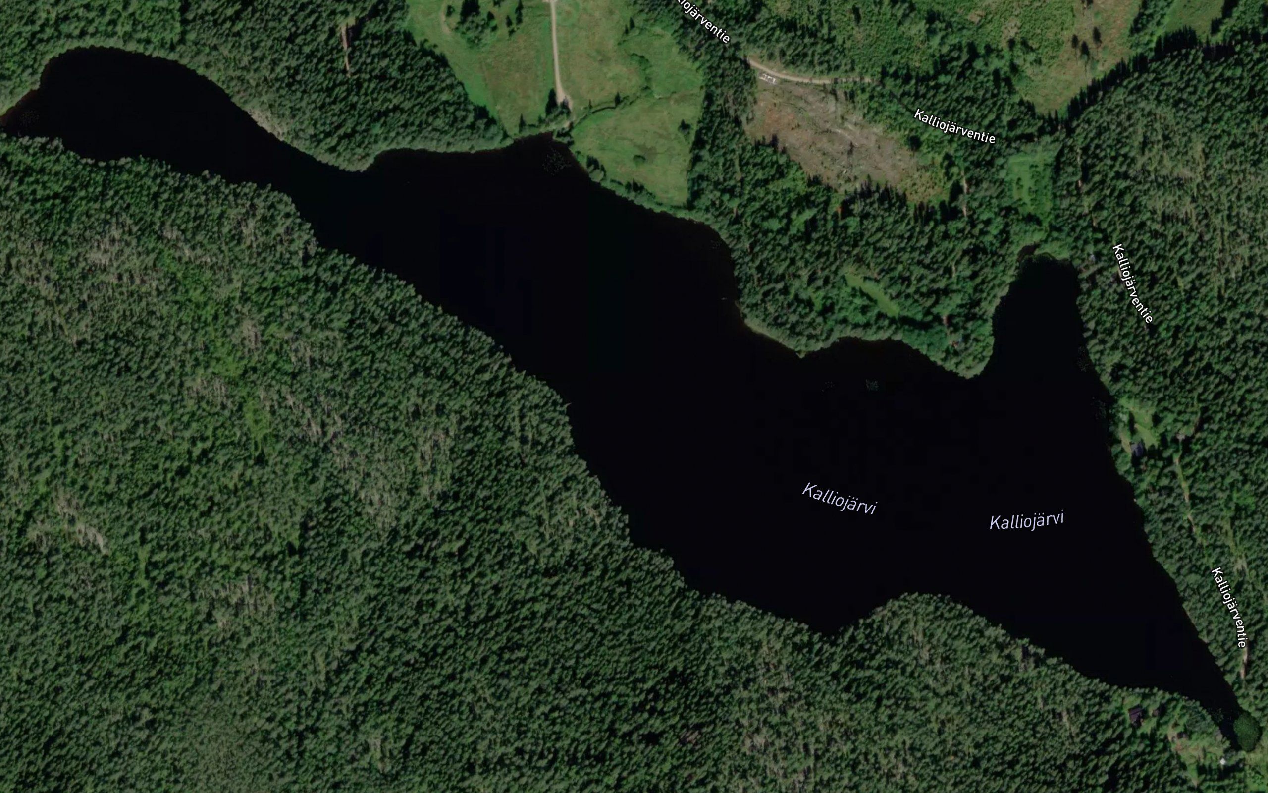 Kalliojarvi