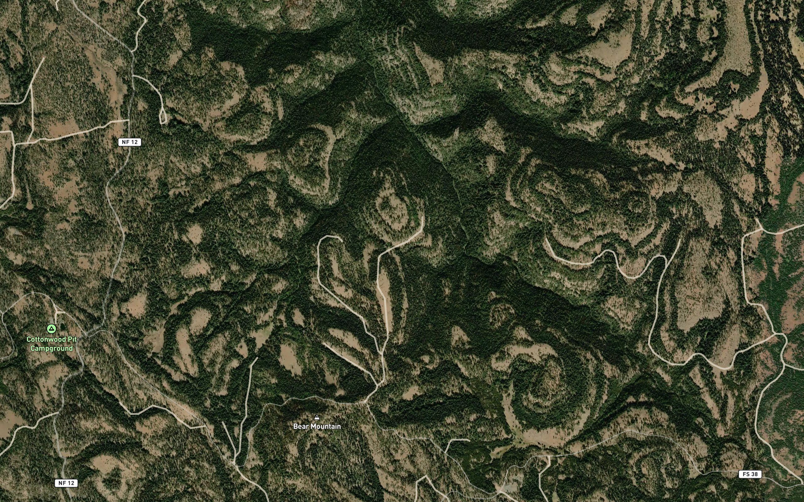 Saddle Spring