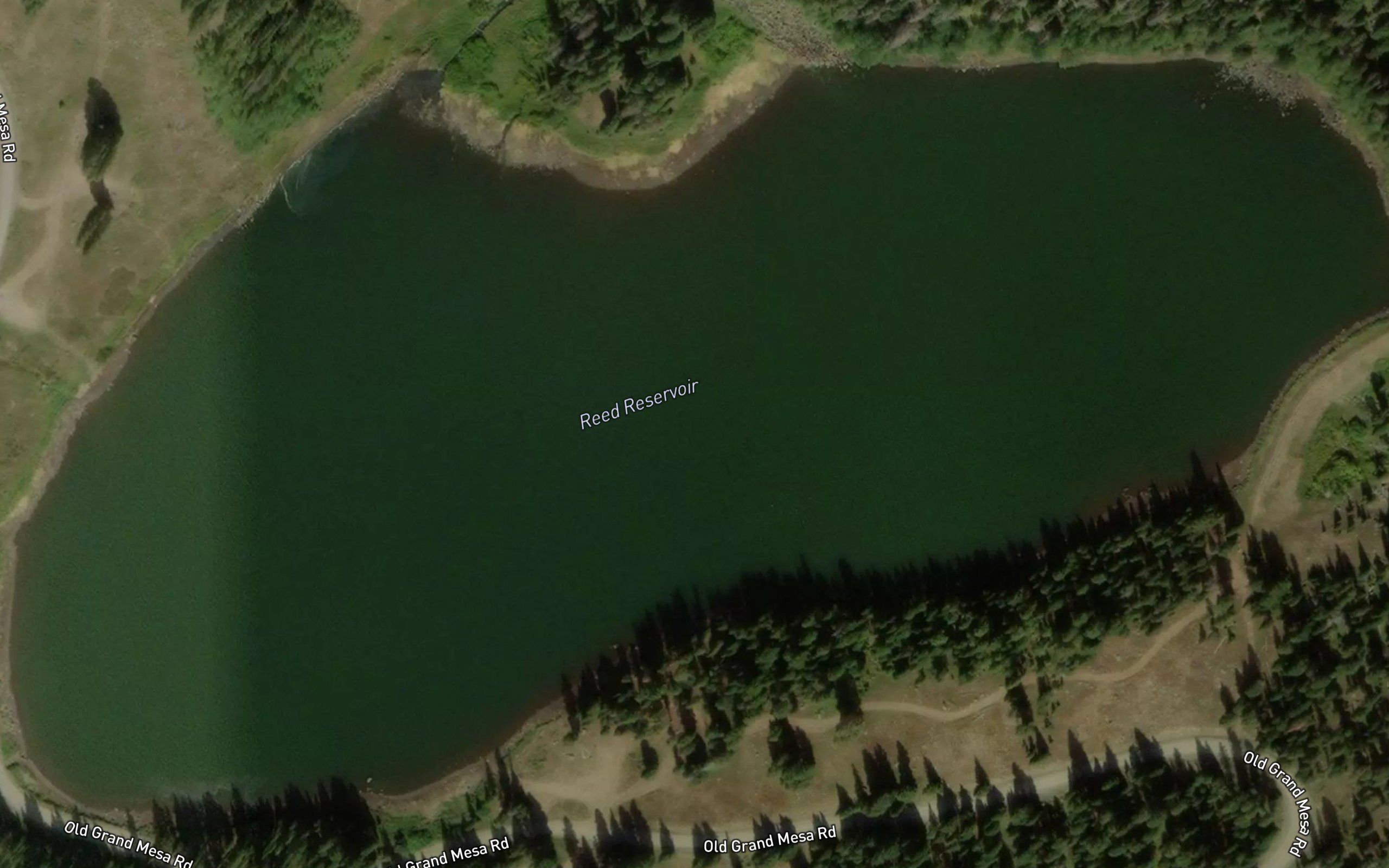 Reed Reservoir