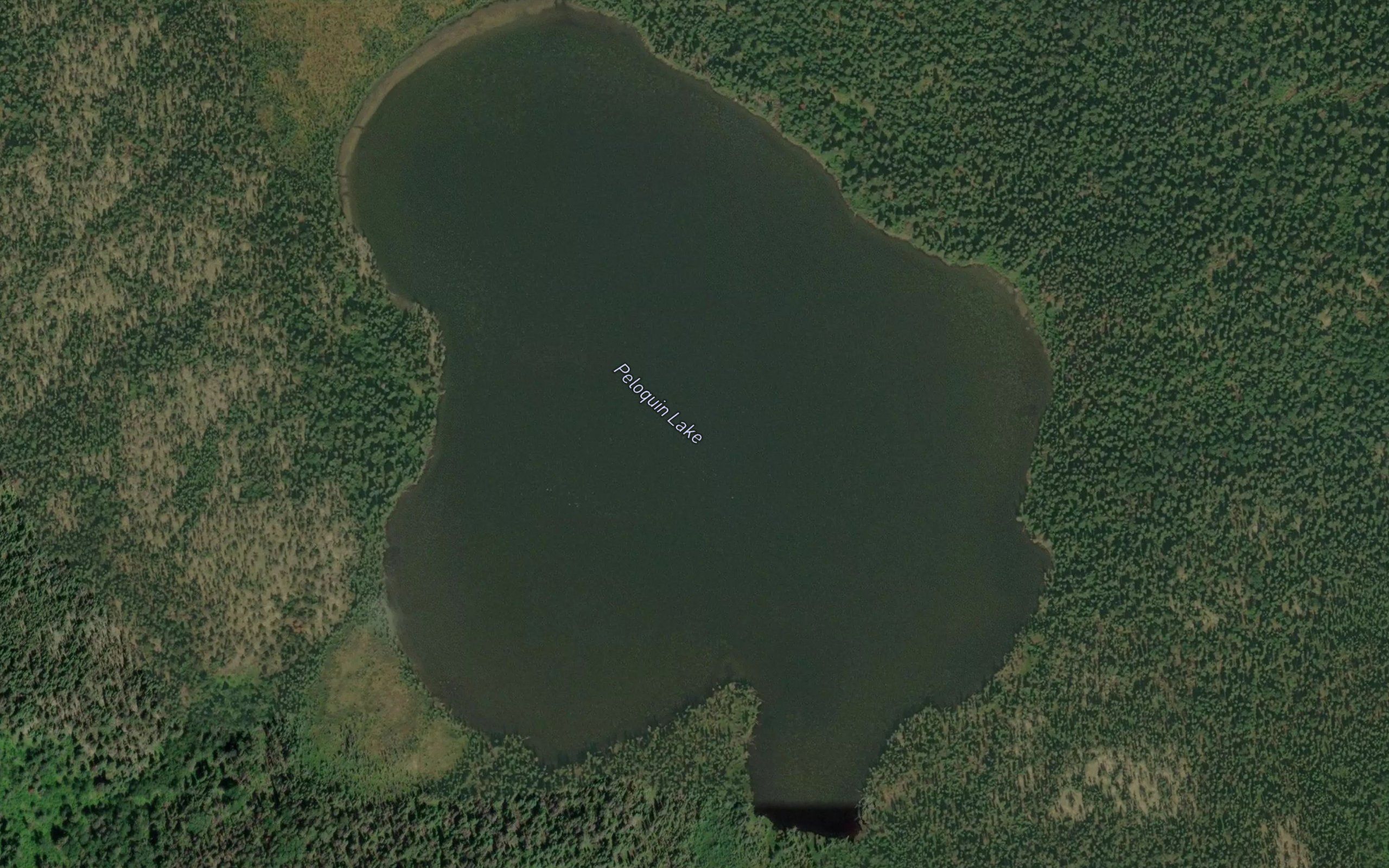 Peloquin Lake