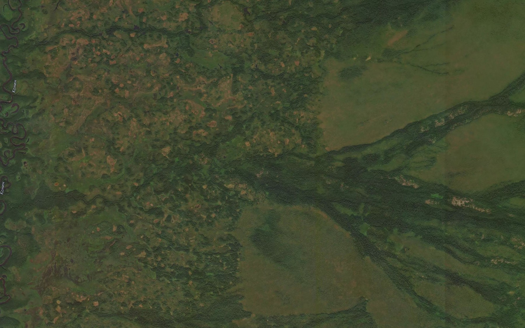 Satellite map of the Gornyy