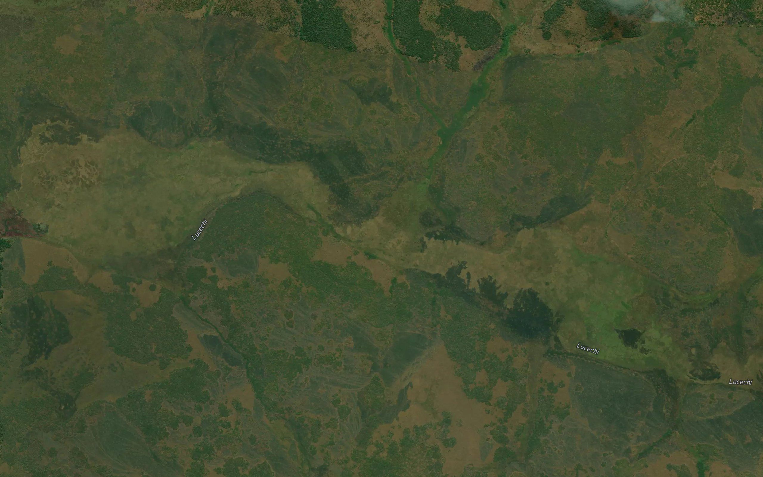 Chingungo