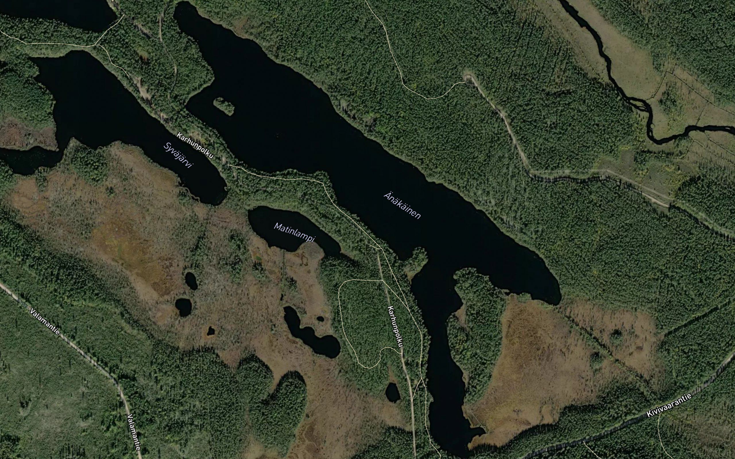 Anakainen