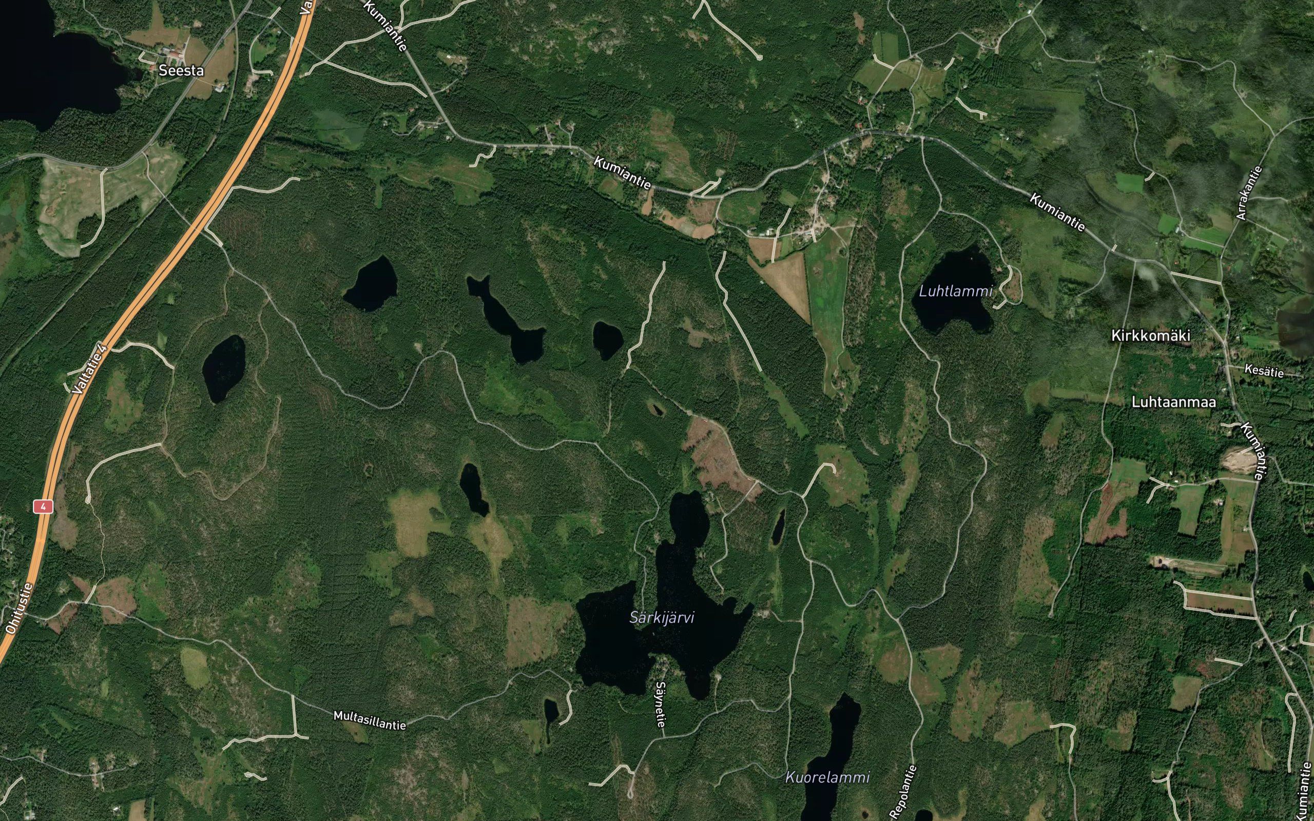 Hauklammi