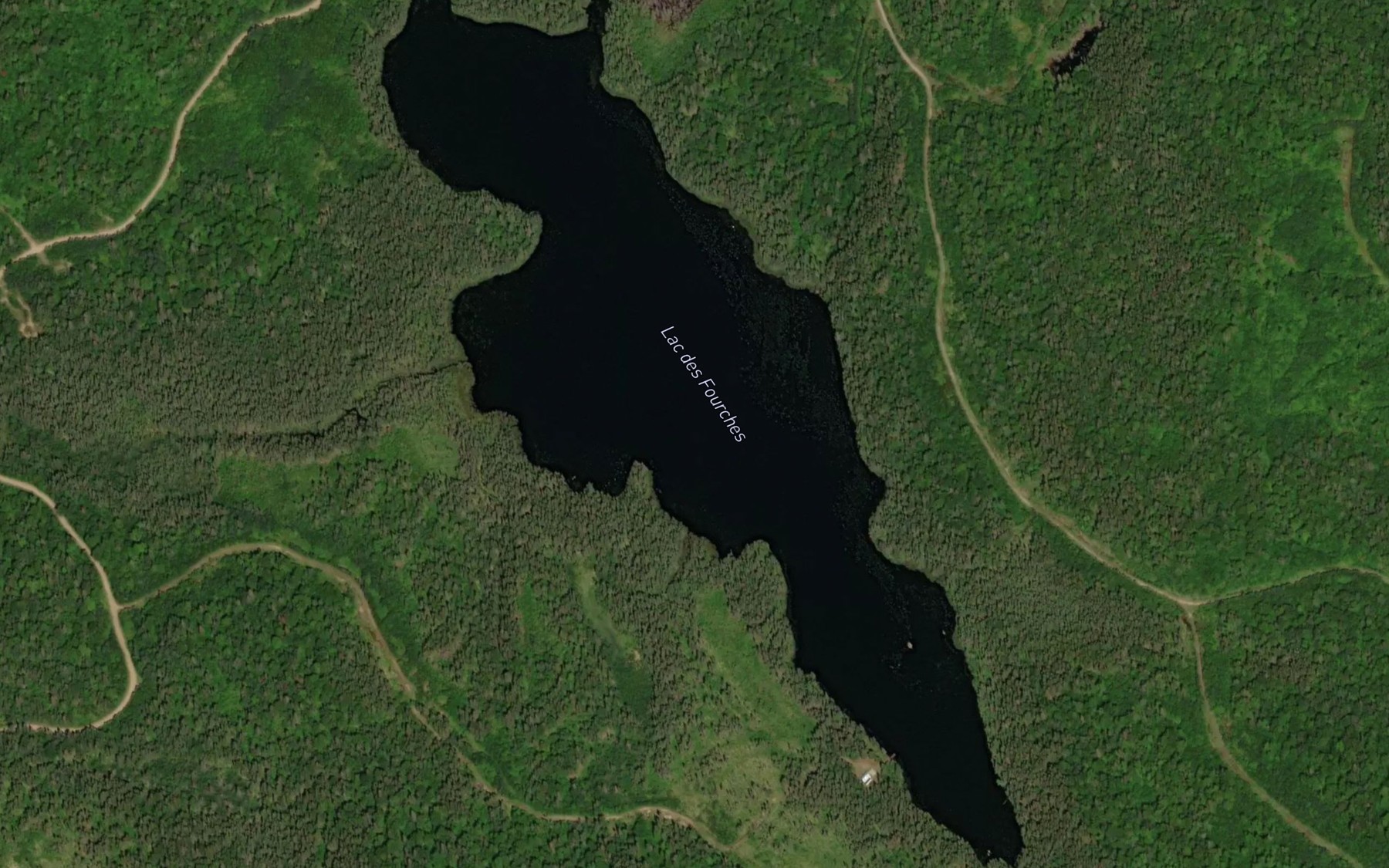 Satellite map of the Lac des Fourches