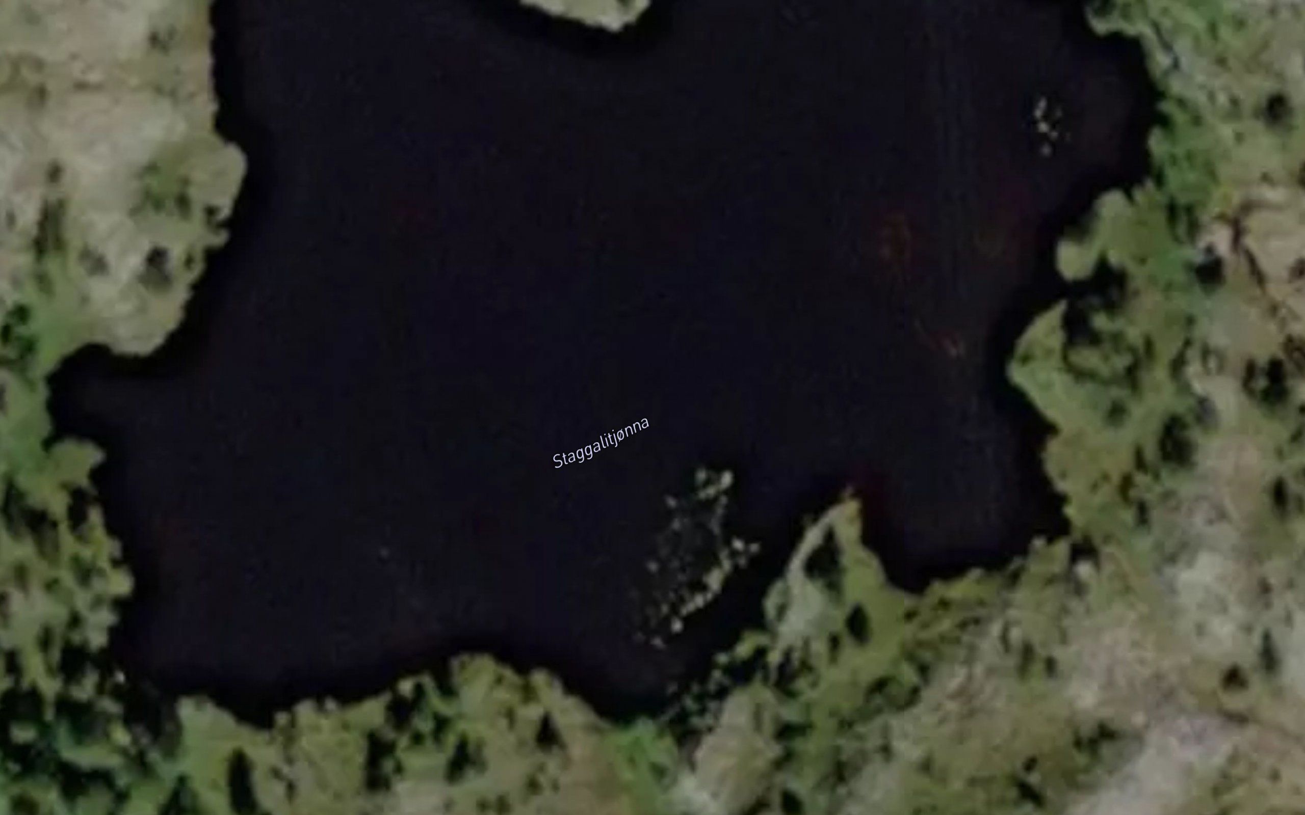 Staggalitjorna