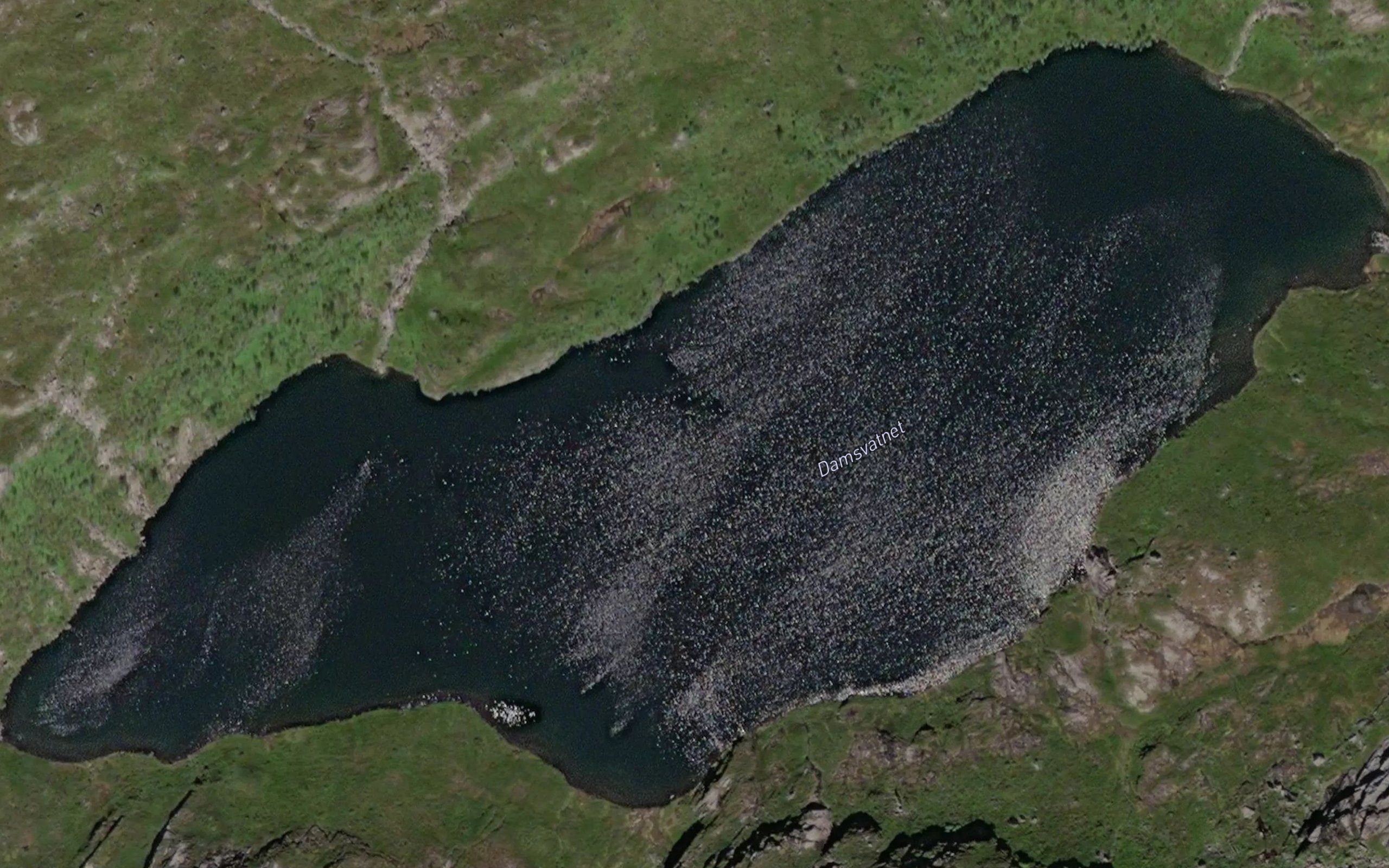 Damsvatnet