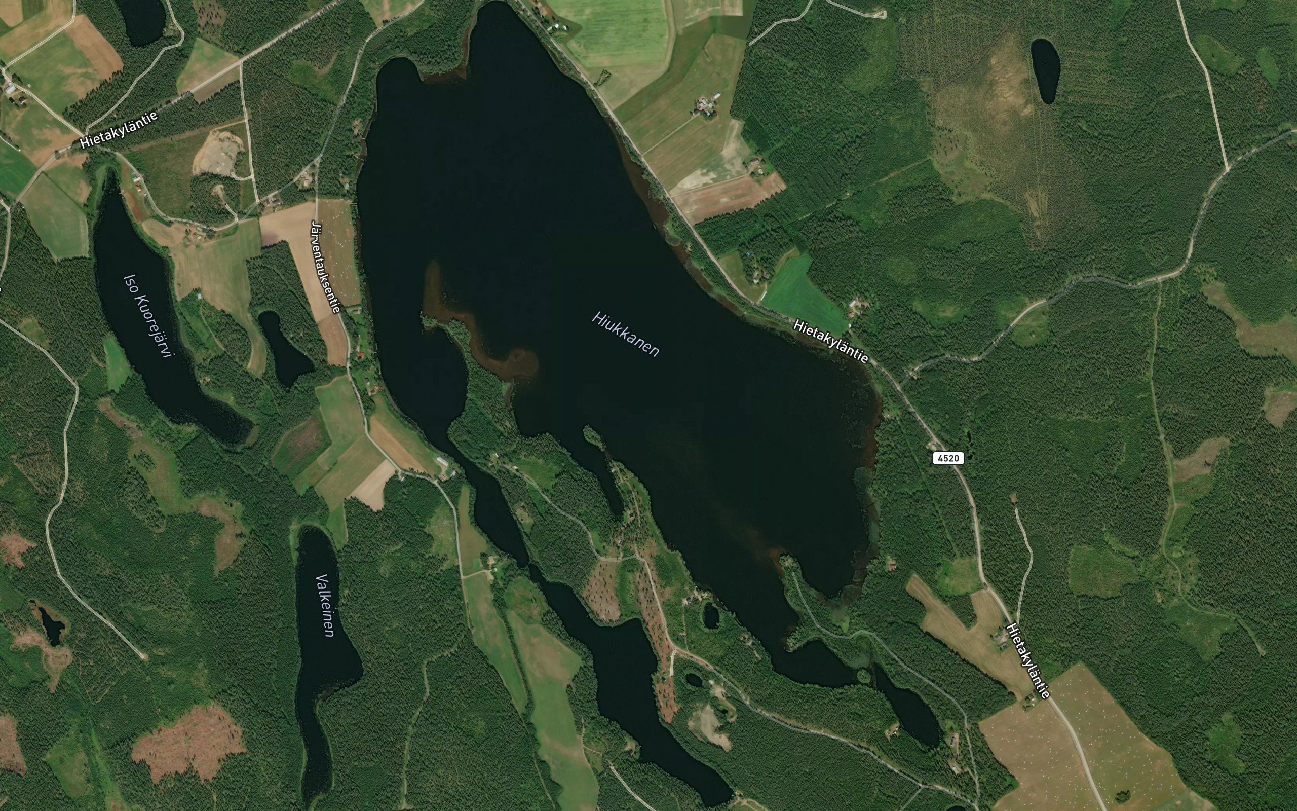 Hiukkanen