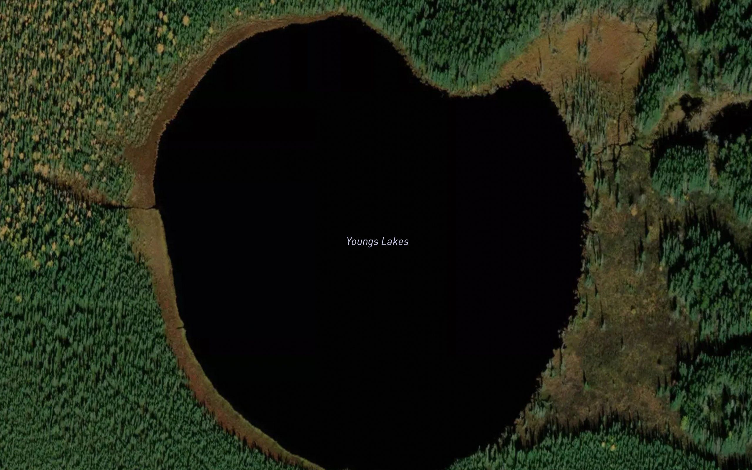 Youngs Lakes
