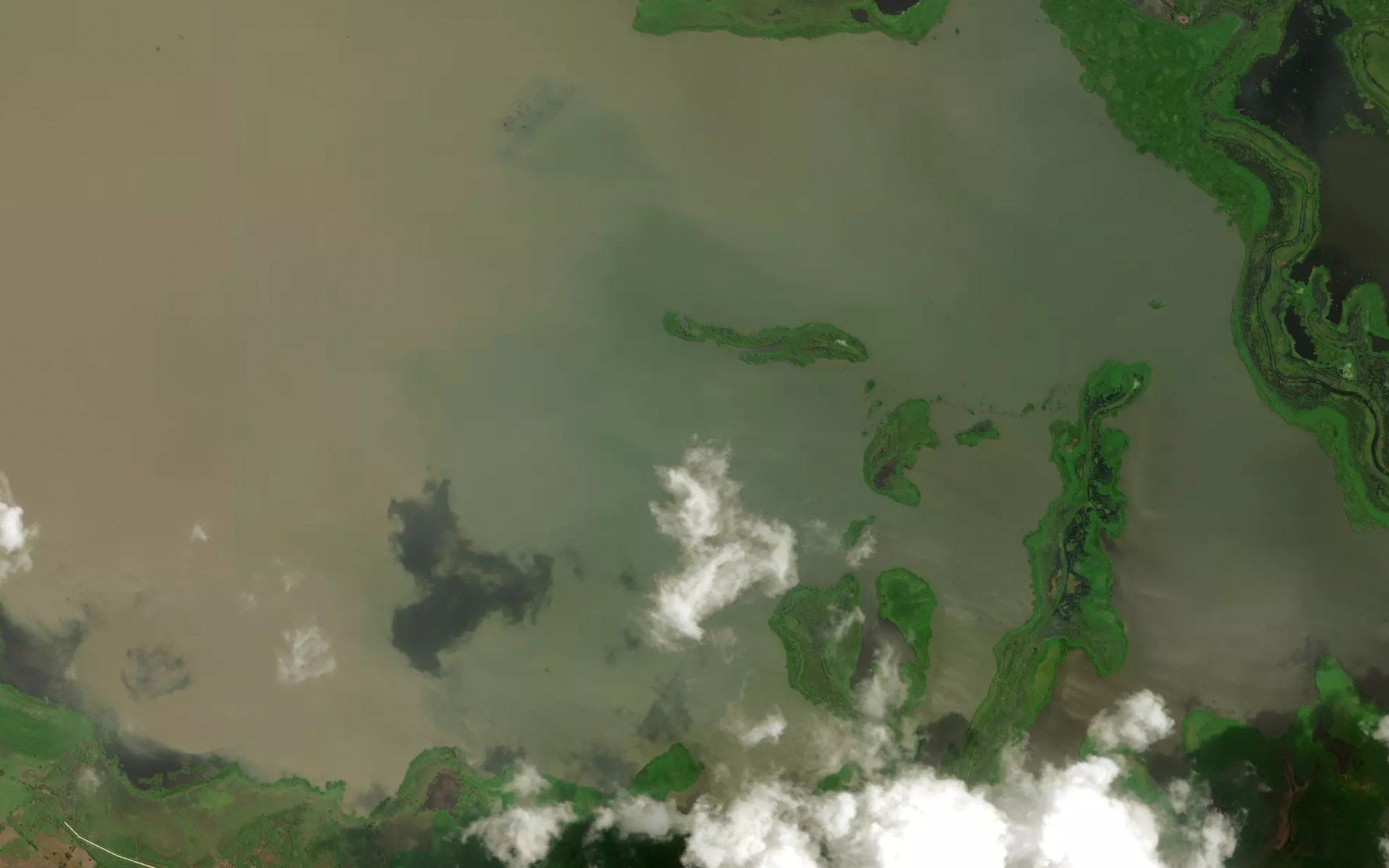 Cienaga Pelada