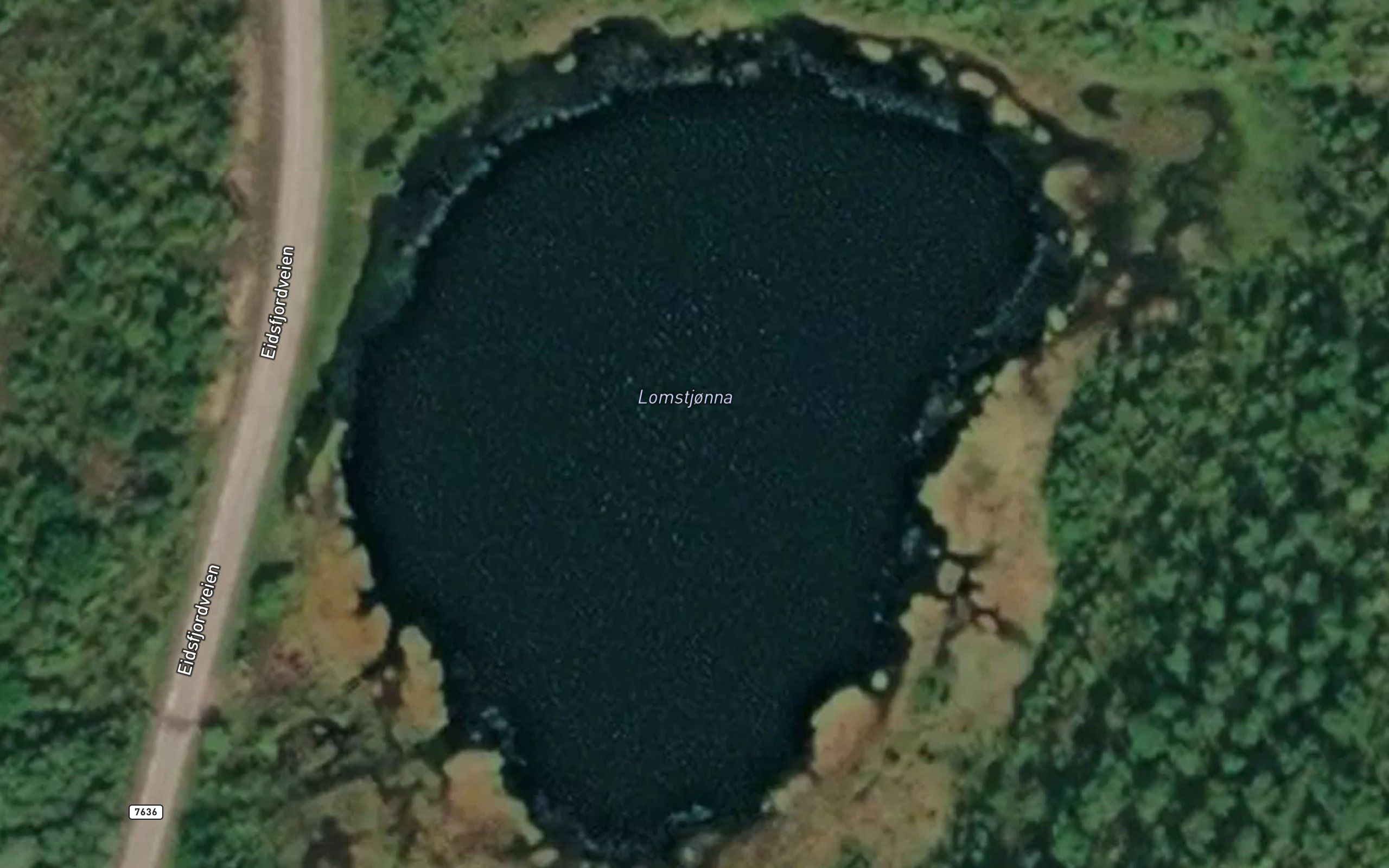Lomstjorna