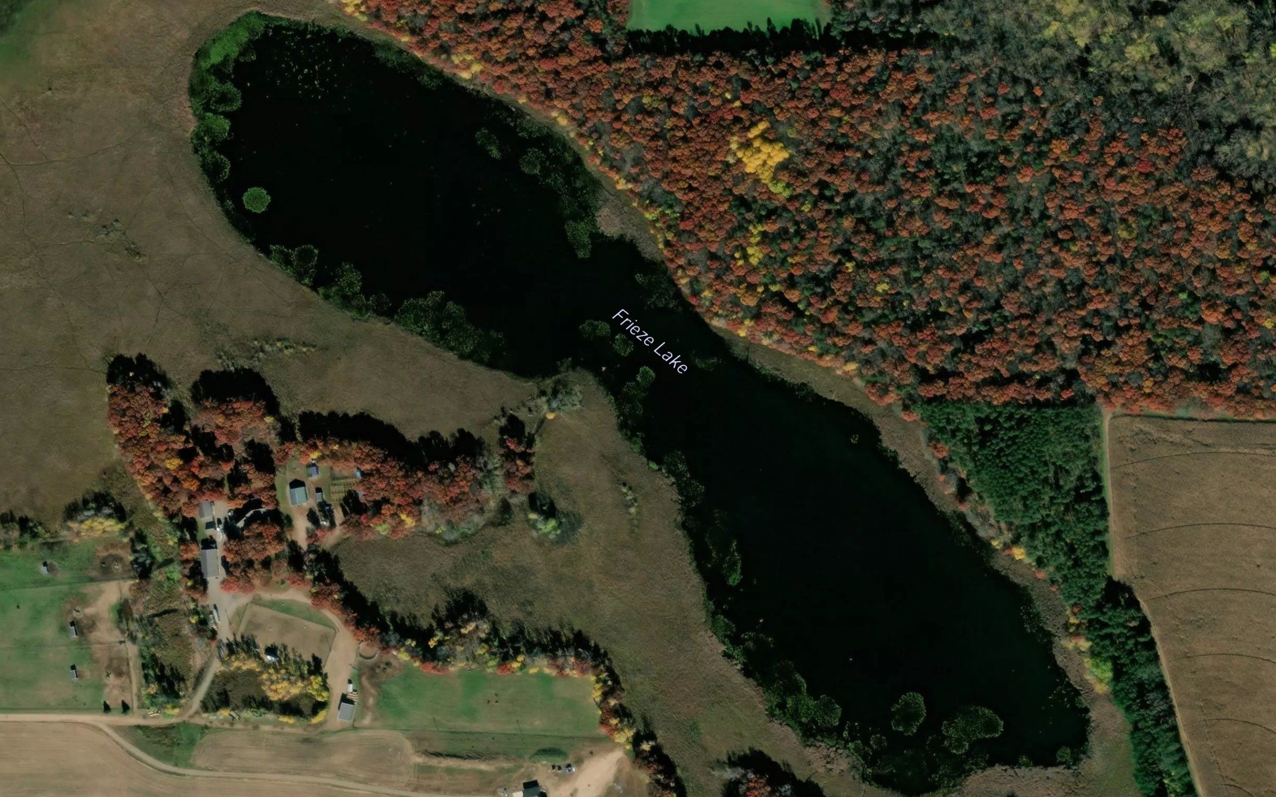 Frieze Lake