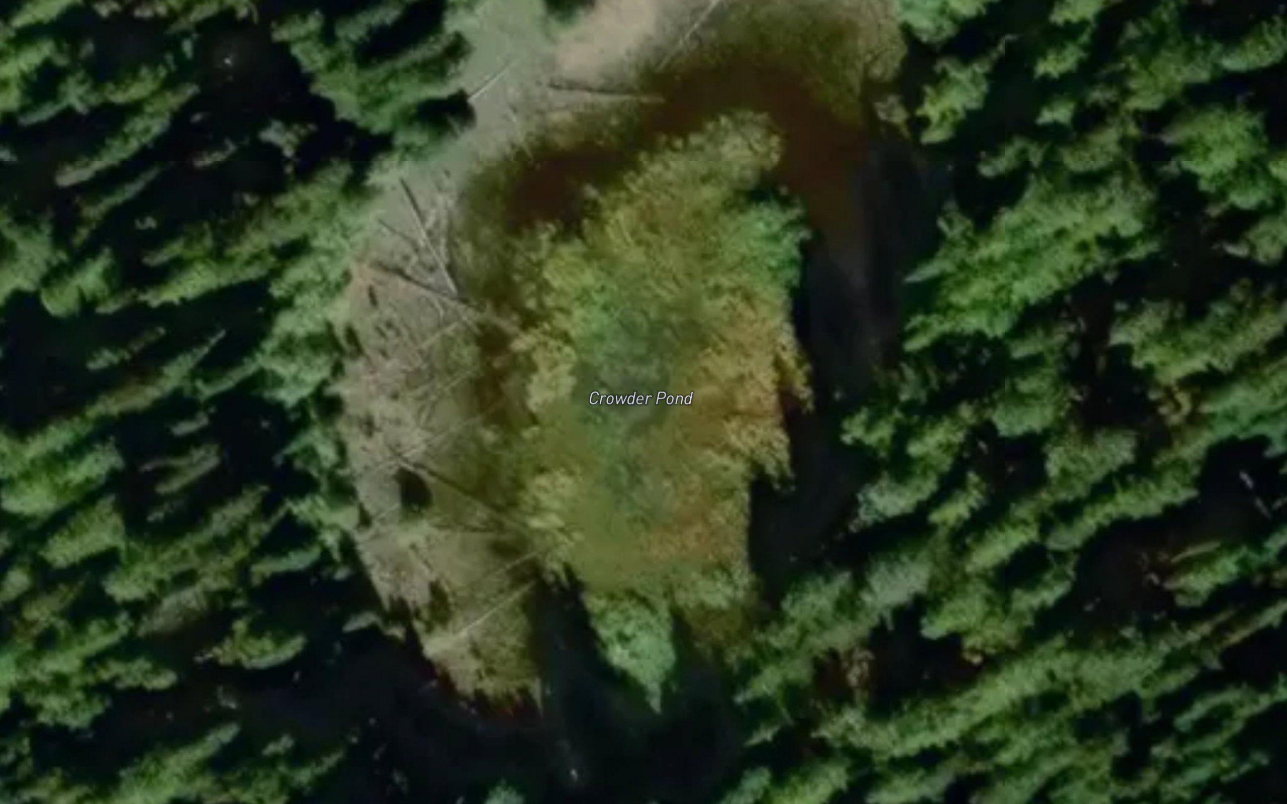 Crowder Pond