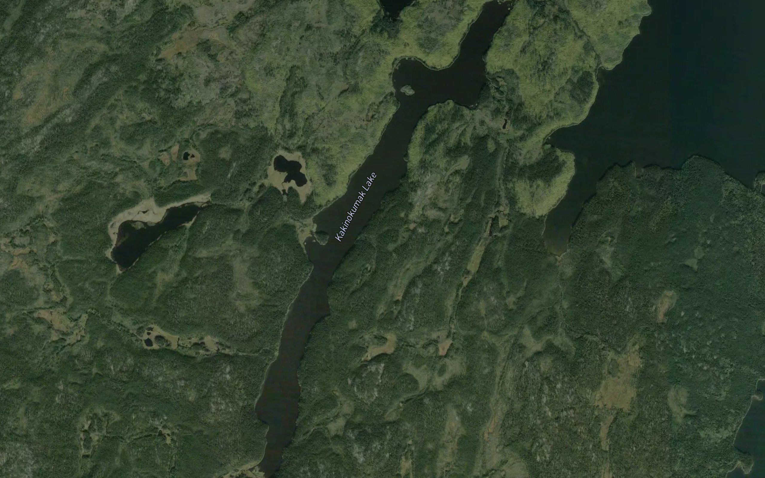 Kakinokumak Lake