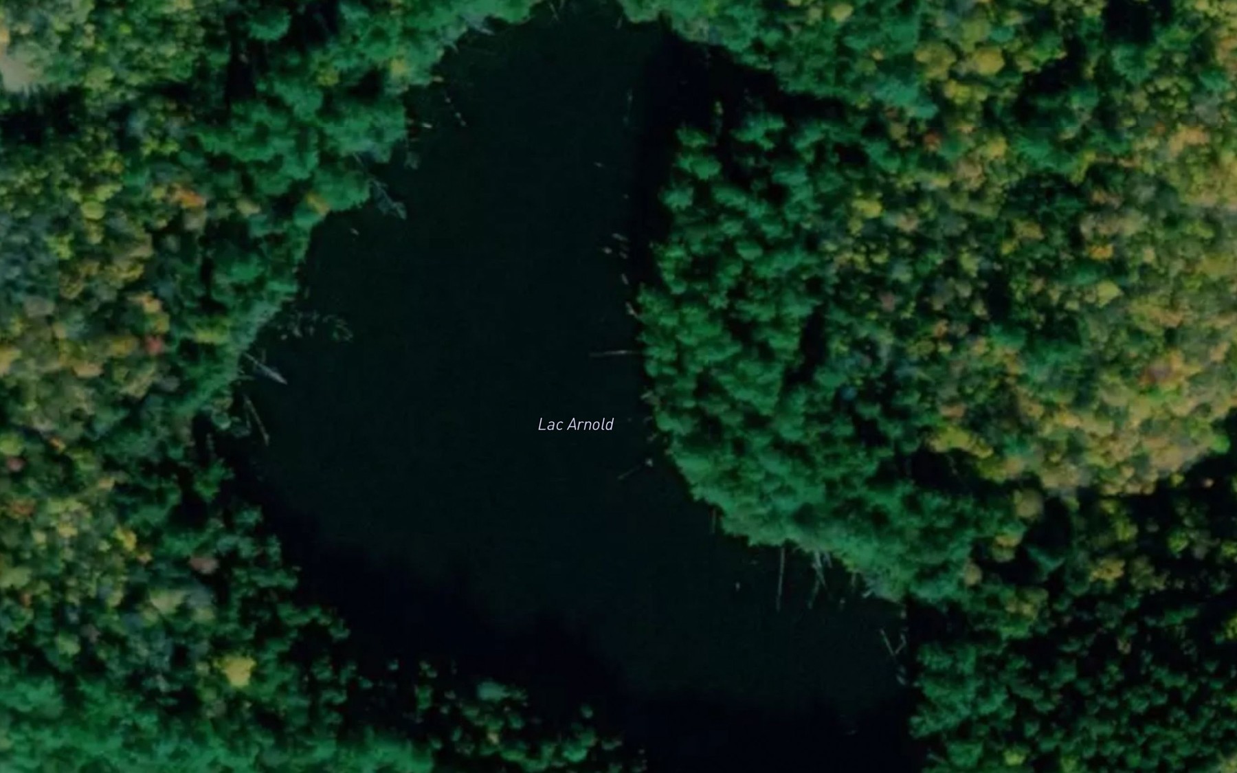 Satellite map of the Lac Arnold