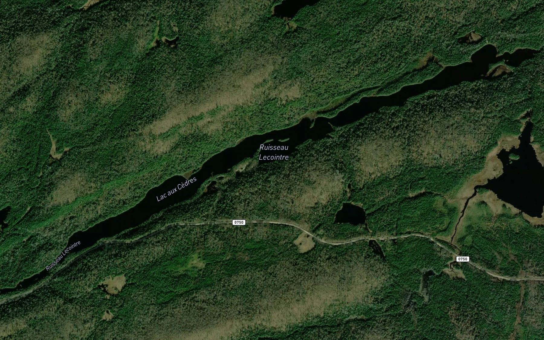 Satellite map of the Lac aux Cedres