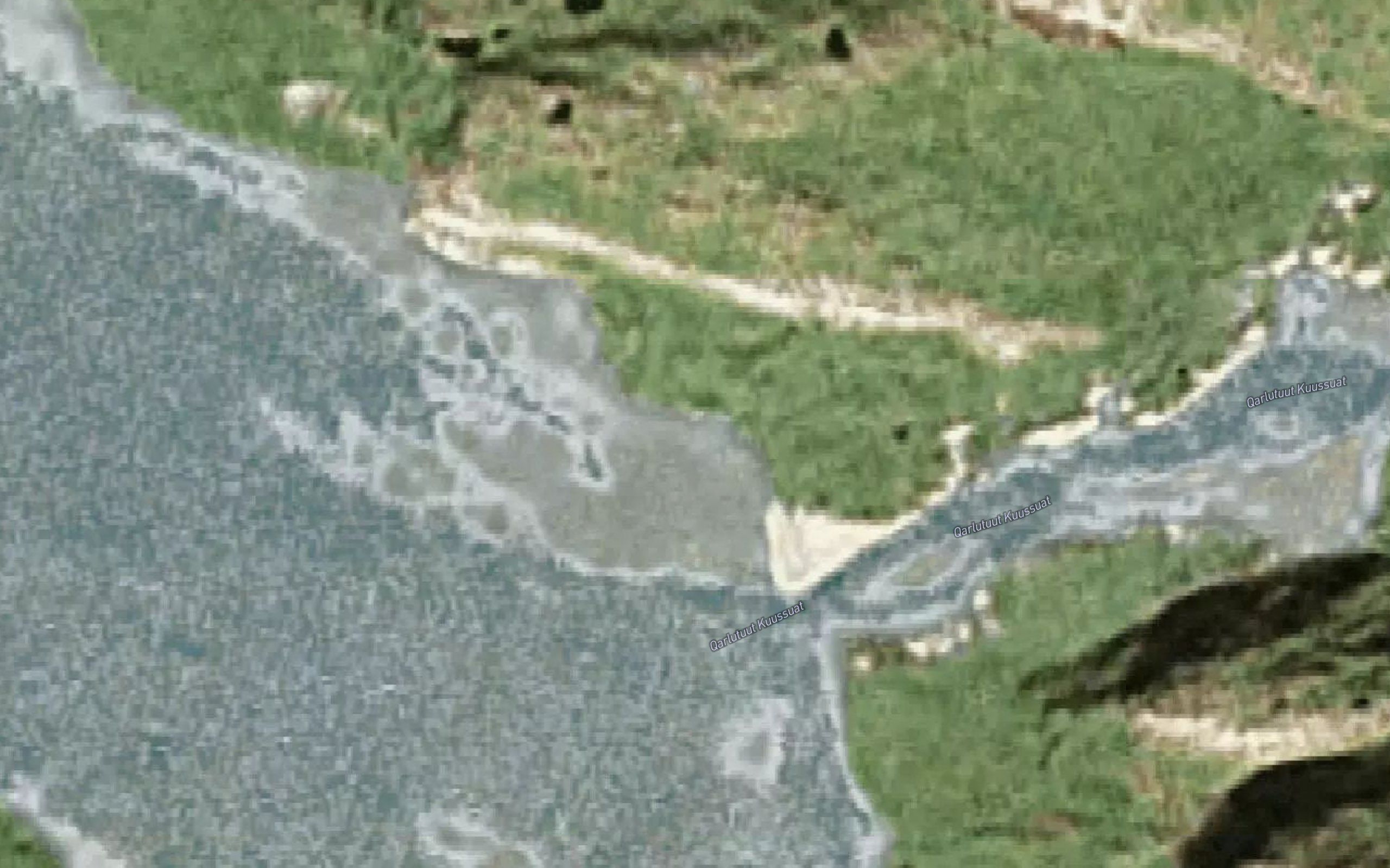 Qardlutut Kugssuat