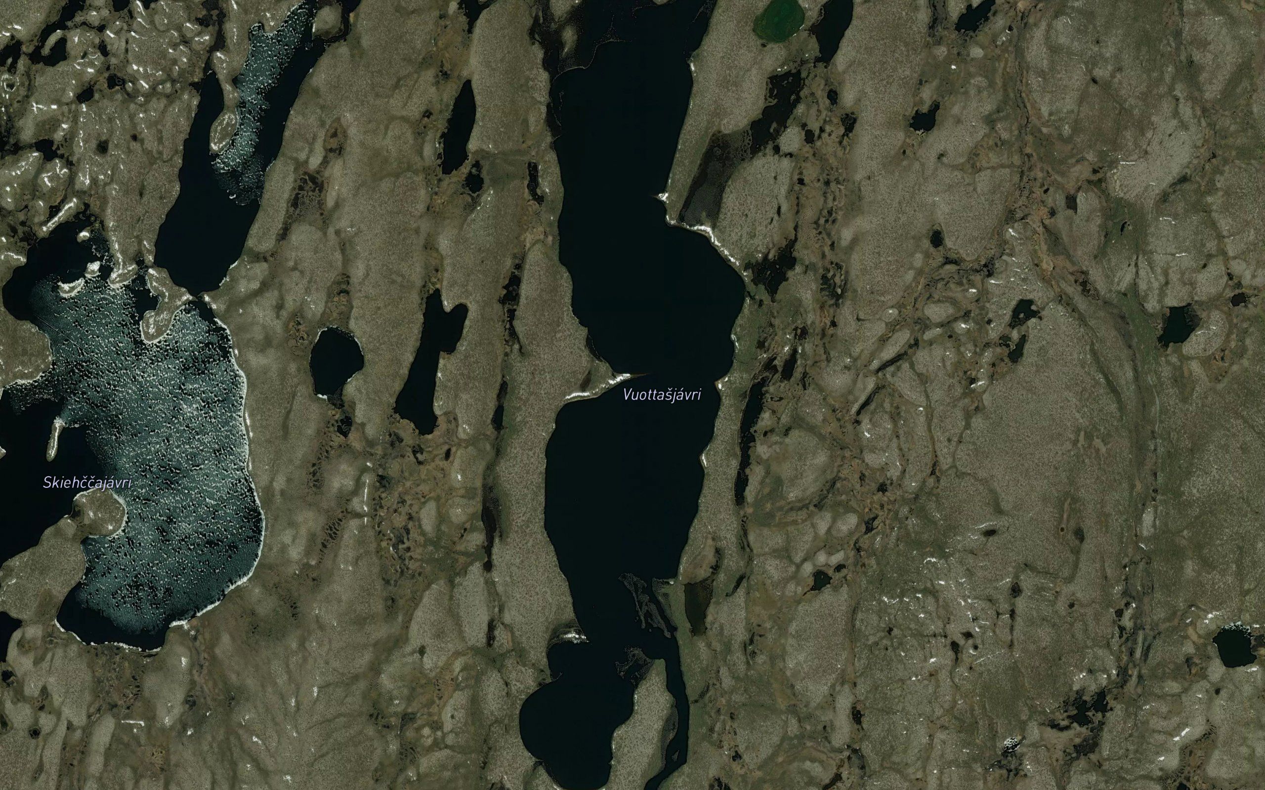Vuoddasjavri