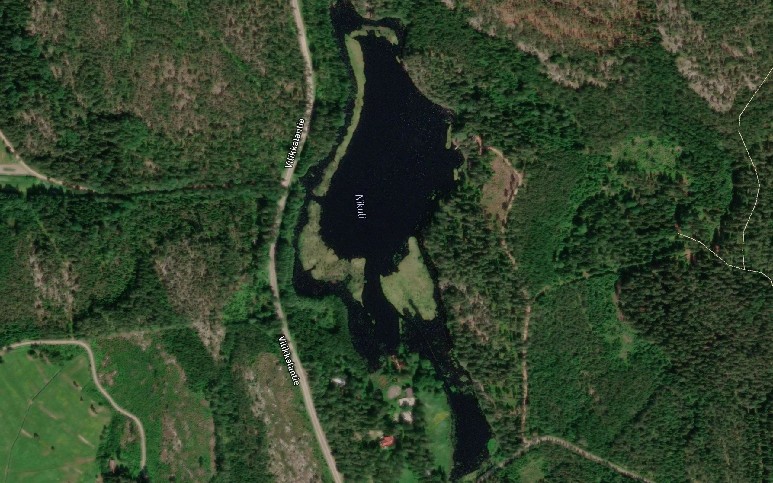 Nikuli