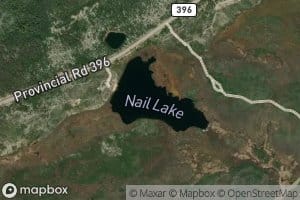 Nail Lake
