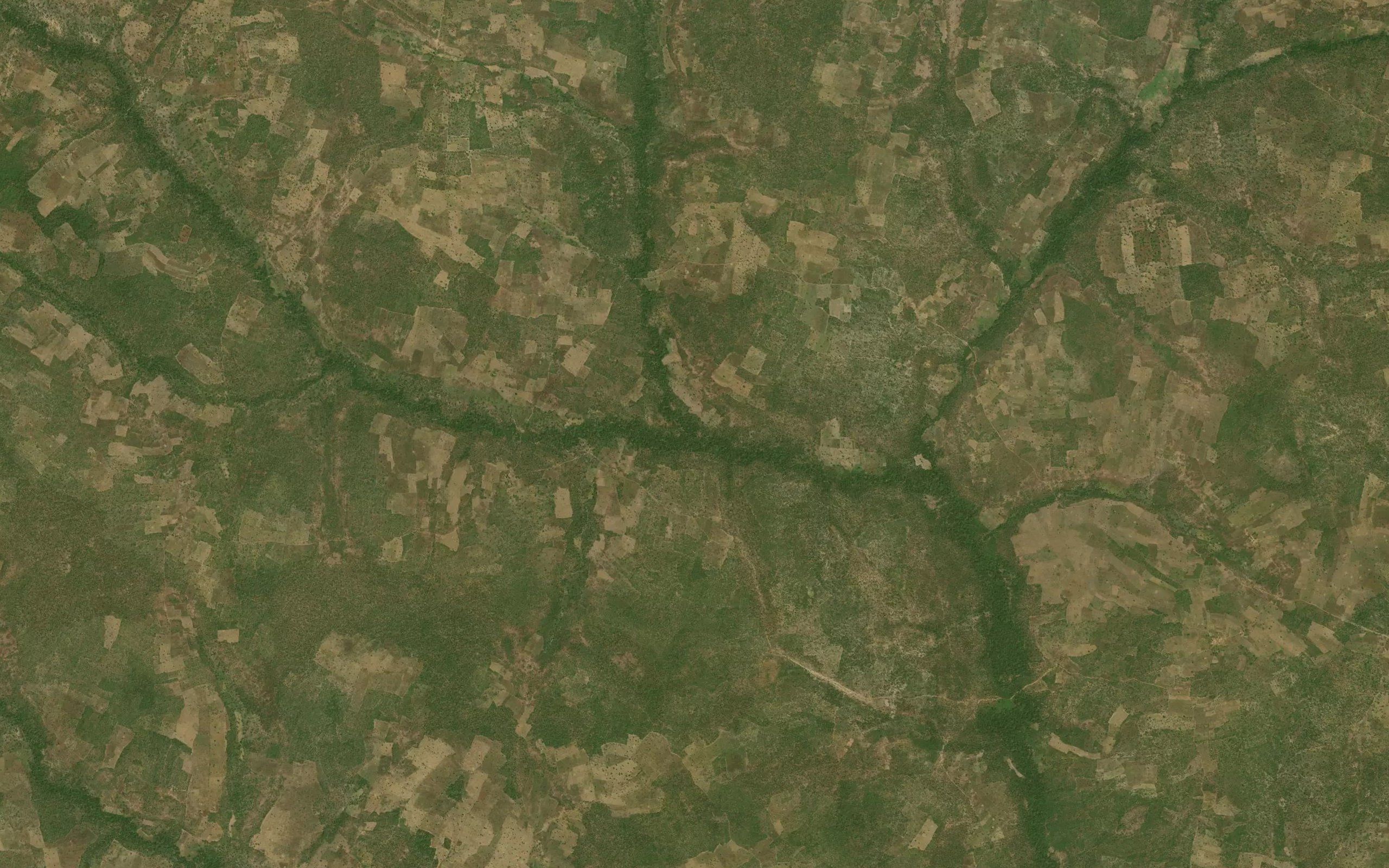 River Amuso