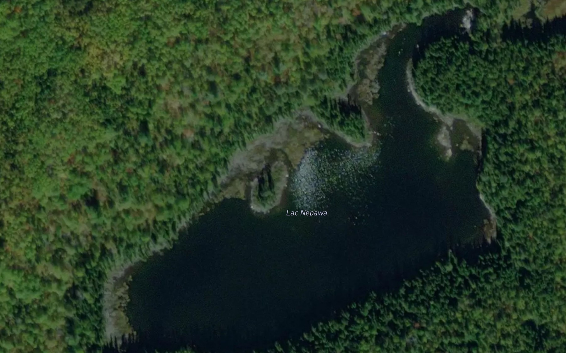 Satellite map of the Lac Nepawa