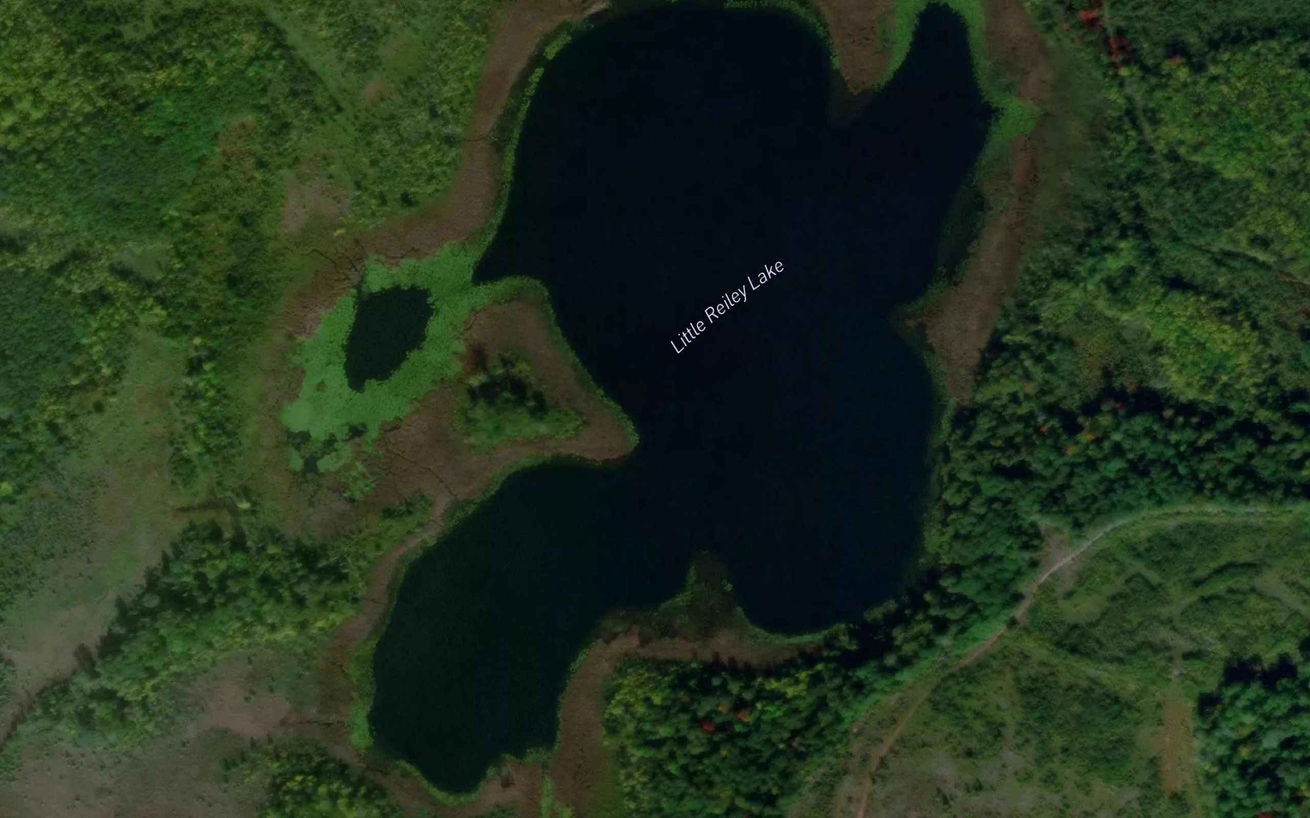 Little Reiley Lake