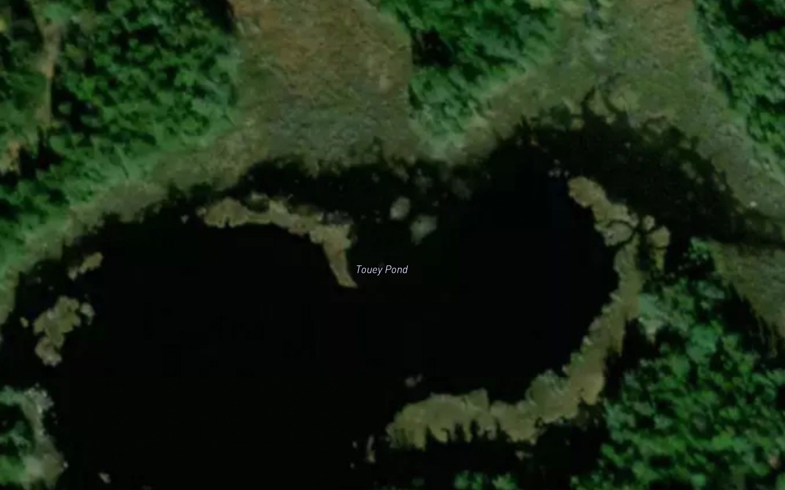 Touey Pond