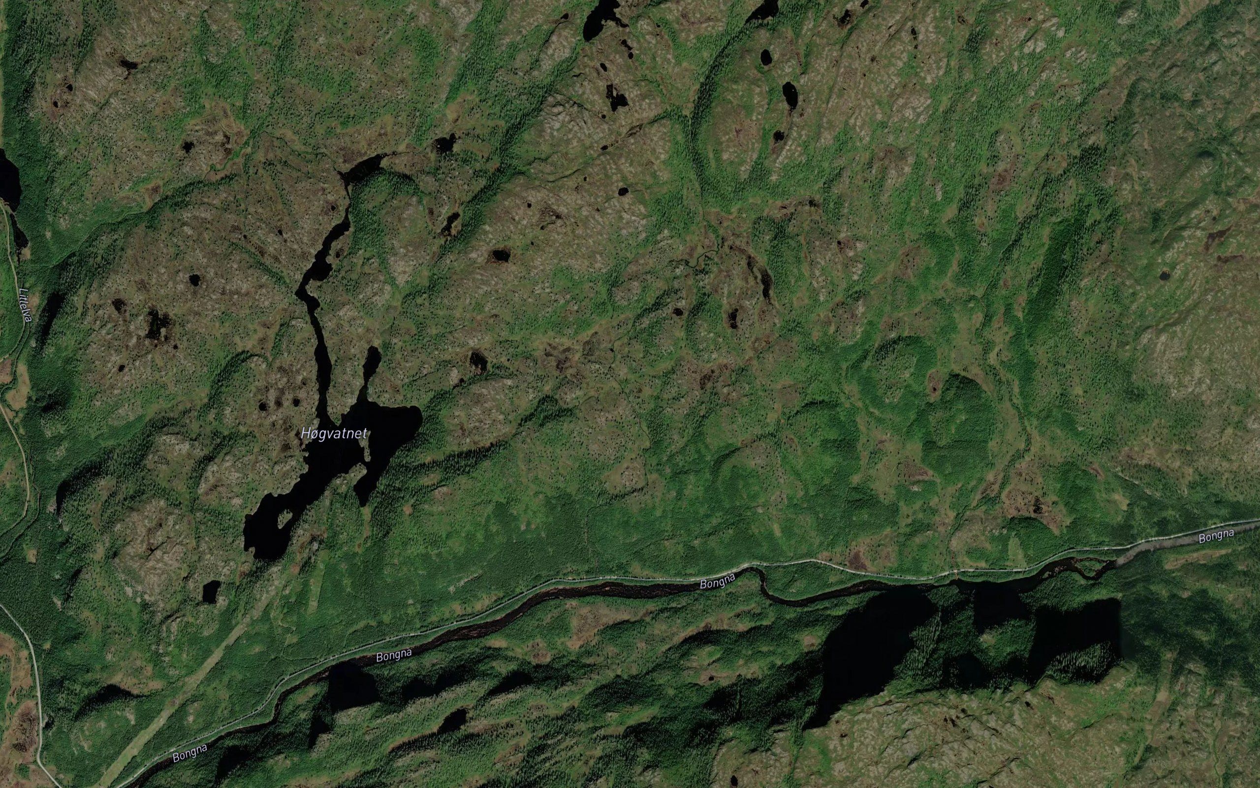 Svartelva